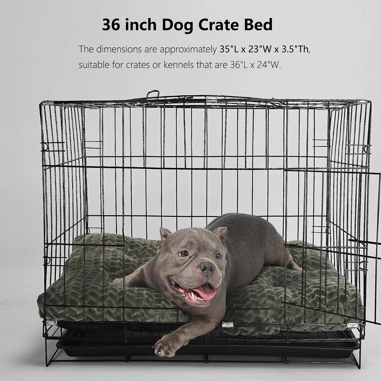 36inch Dog Crate Bed for Medium Large Dogs Washable Ultra Soft and Fluffy Kennel Pad with Anti-Slip Pet Pillow Cushion Sleeping Up to 70 lbs Pets,36x24 Olive Green