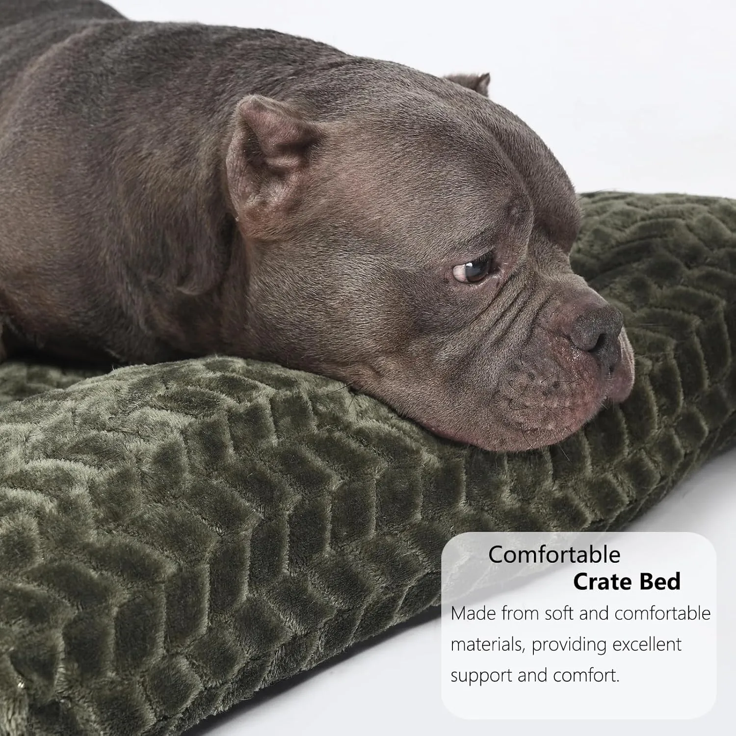 36inch Dog Crate Bed for Medium Large Dogs Washable Ultra Soft and Fluffy Kennel Pad with Anti-Slip Pet Pillow Cushion Sleeping Up to 70 lbs Pets,36x24 Olive Green