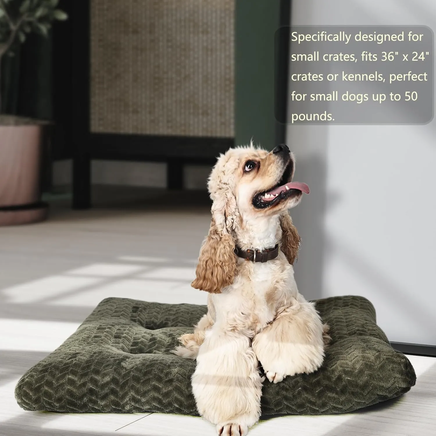 36inch Dog Crate Bed for Medium Large Dogs Washable Ultra Soft and Fluffy Kennel Pad with Anti-Slip Pet Pillow Cushion Sleeping Up to 70 lbs Pets,36x24 Olive Green