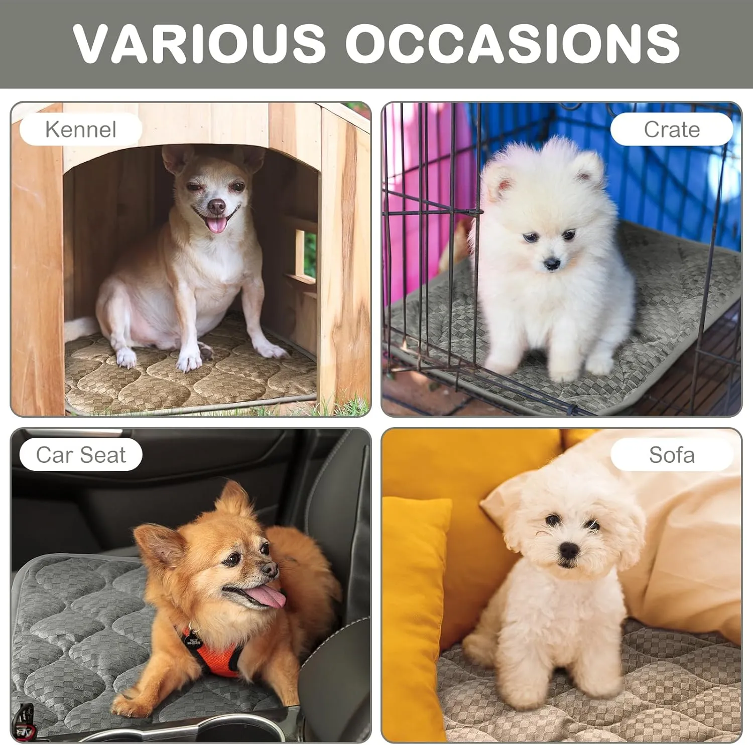 4 Pack Self Warming Cat Mat Self Heating Cat Pad Warm Thermal Pet Bed Washable Dog Crate Pad Body Heat Dog Bed Mat Blanket Non Slip Bottom for Outdoor Indoor Pets
