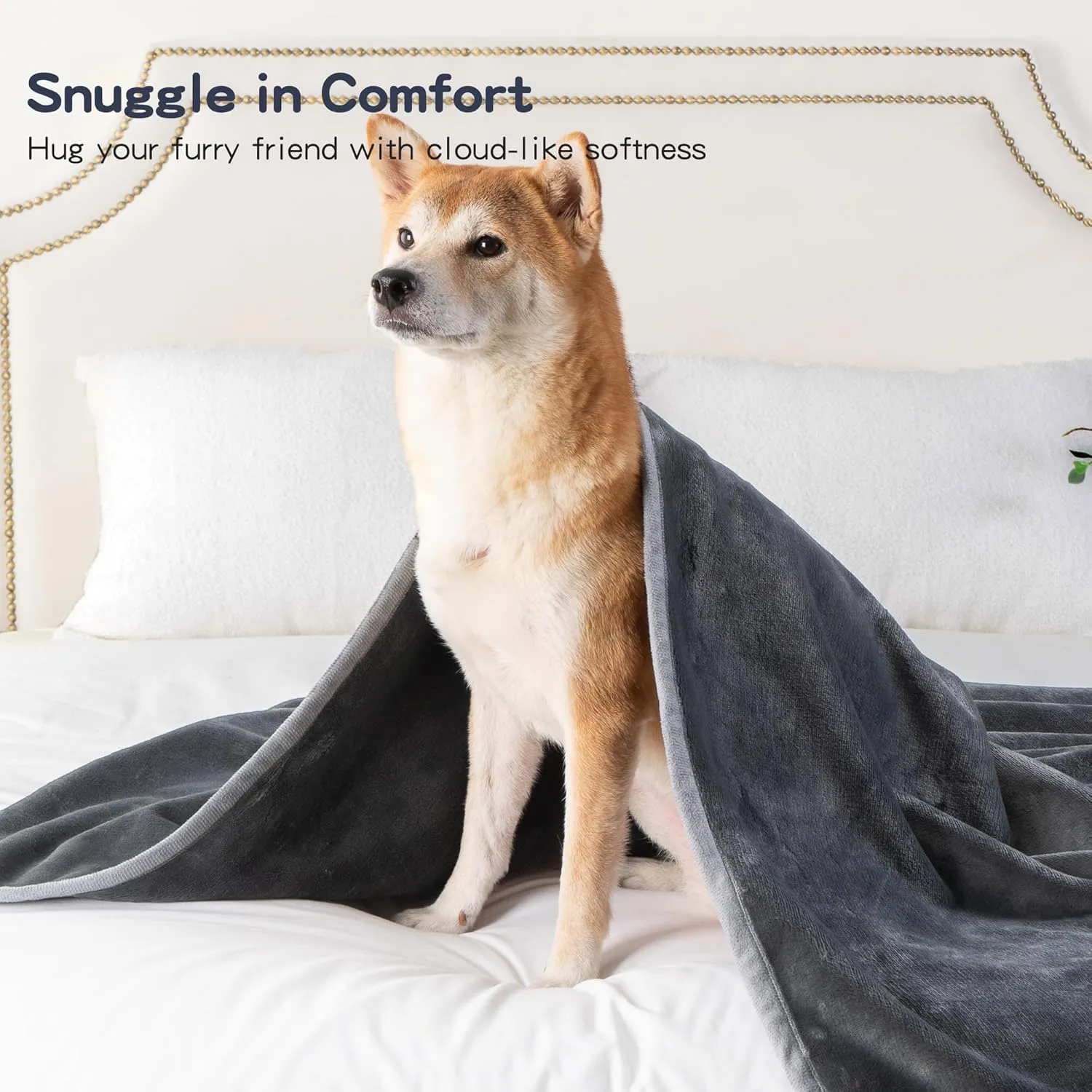 50x60 Inch Dark Gray Pet Blanket for Medium/Large Dogs - Reversible Soft Fluffy Waterproof Flannel Dog Bed Blanket for Crates, Sofas, Car