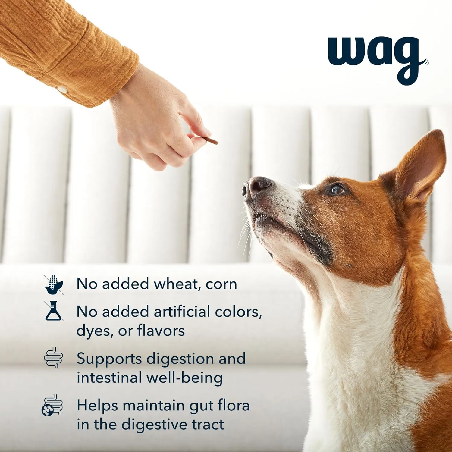 Amazon Brand - Wag Probiotic Supplement Daily Chews for Dogs, Supports Digestion and Gut Health, Natural Duck Flavor, 90 count