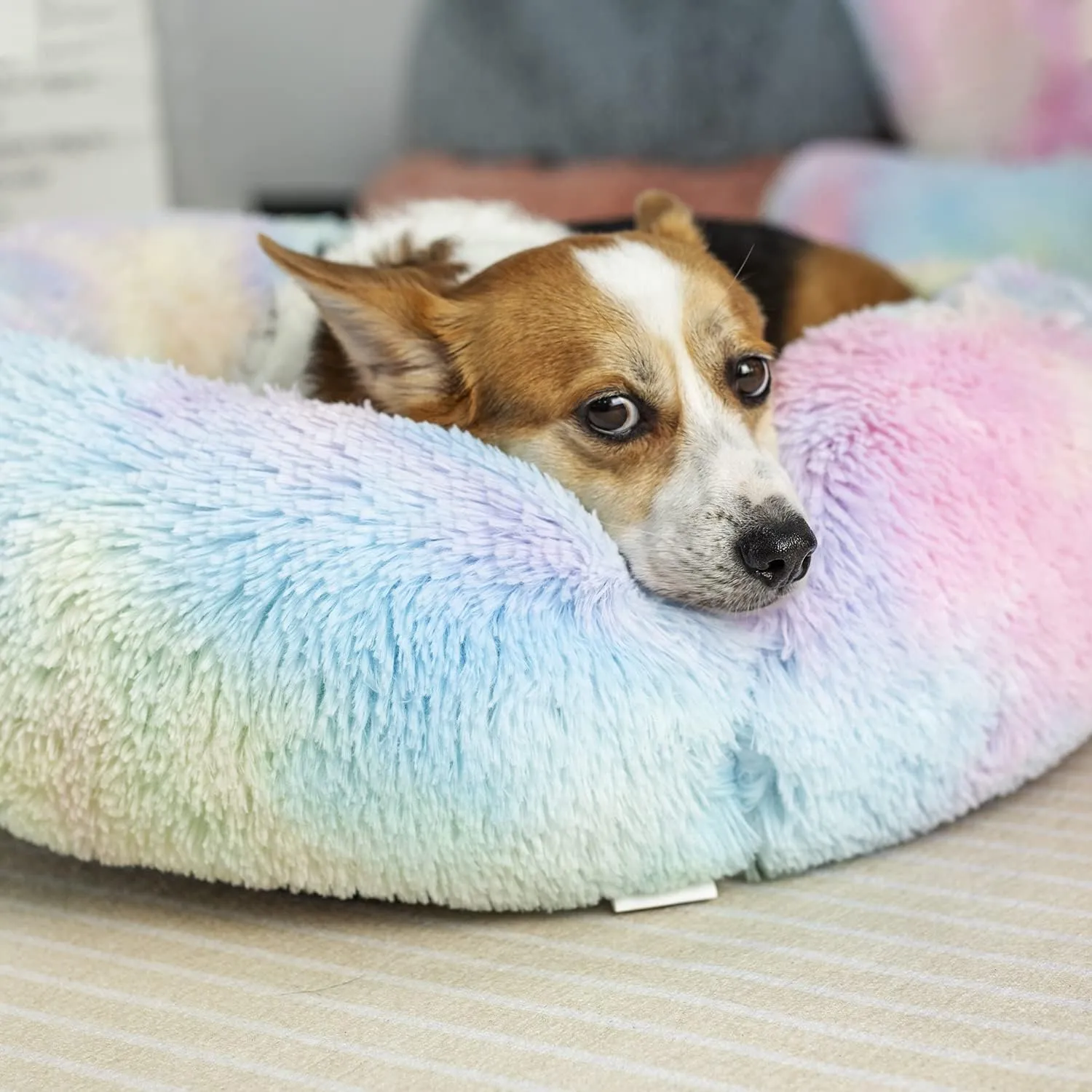Anti Anxiety Round Fluffy Plush Faux Fur Warm Washable Dog Bed & Cat Bed, Original Bed for Small Medium Large Pets,Used to Relieve Joints and Improve Sleep20"/24"/27'' (24", Rainbow)