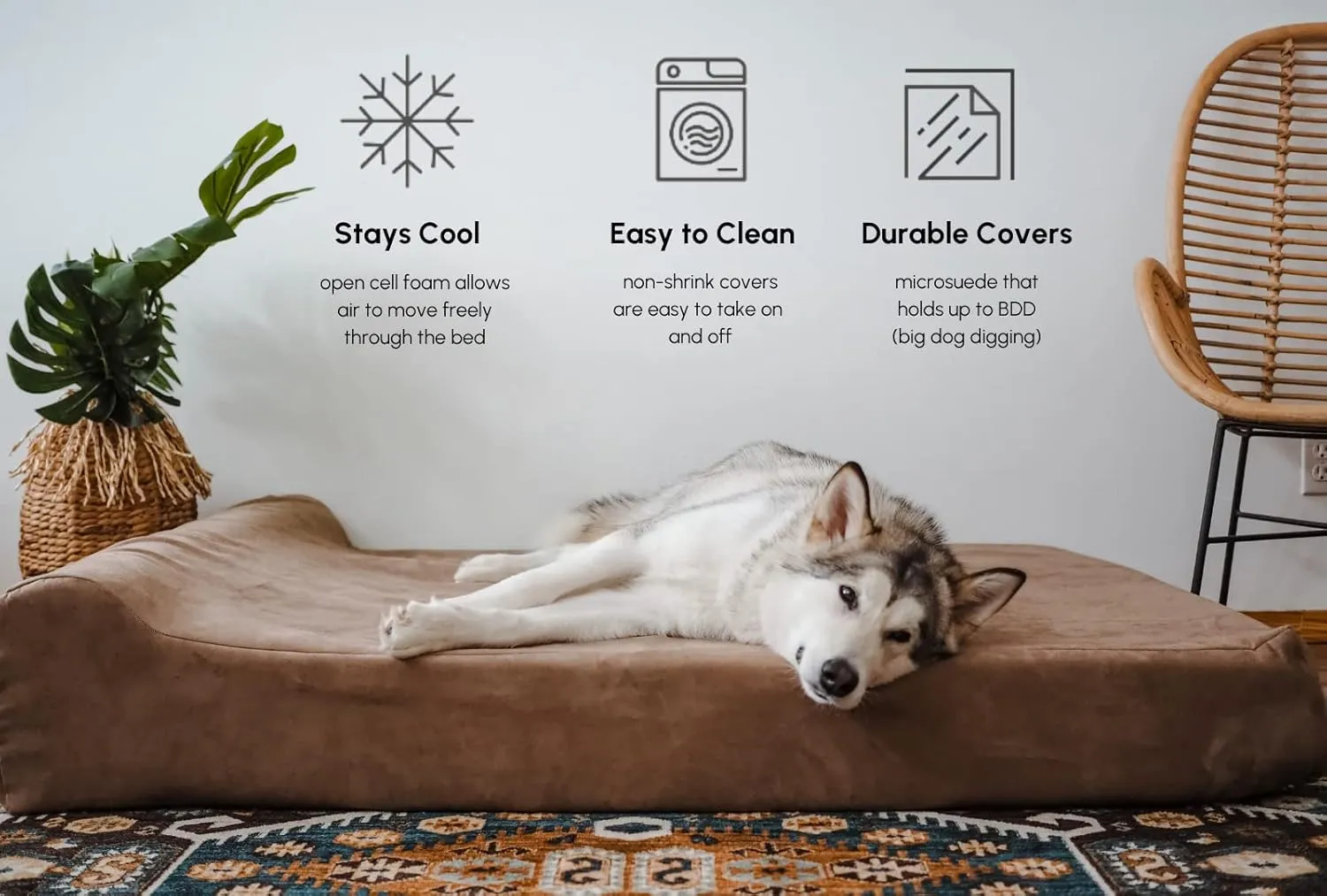 Barker Beds Headrest Extra Large Dog Bed (XL, Chocolate)  7" Thick Soft & Comfortable Orthopedic Cushion  XL Dog Bed  Washable Microsuede Cover  Made in USA