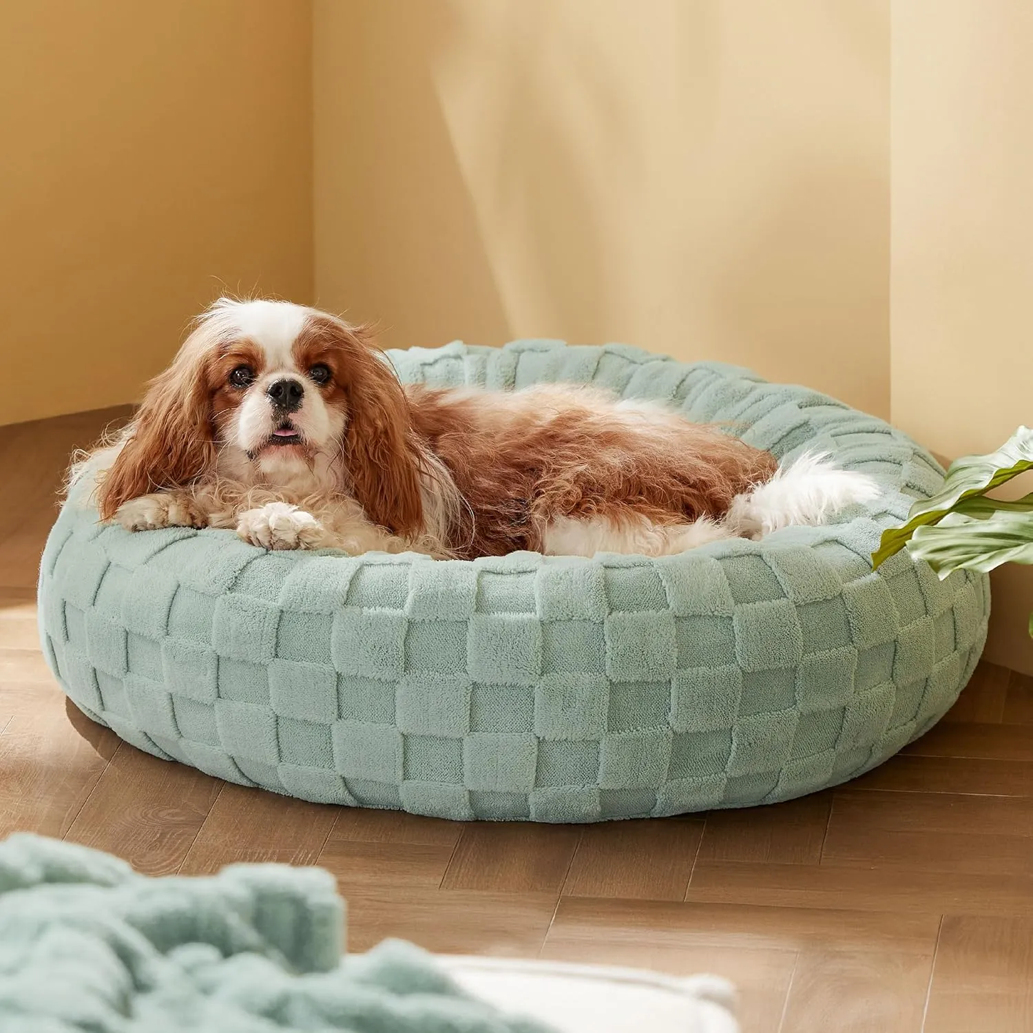Bedsure Dog Bed for Large Dogs - Donut Pet Bed for Puppy Kitten with Anti Slip Bottom, Round Sherpa Dog Beds with Washable Removable Cover, Garden Green, 36x36x10 inches