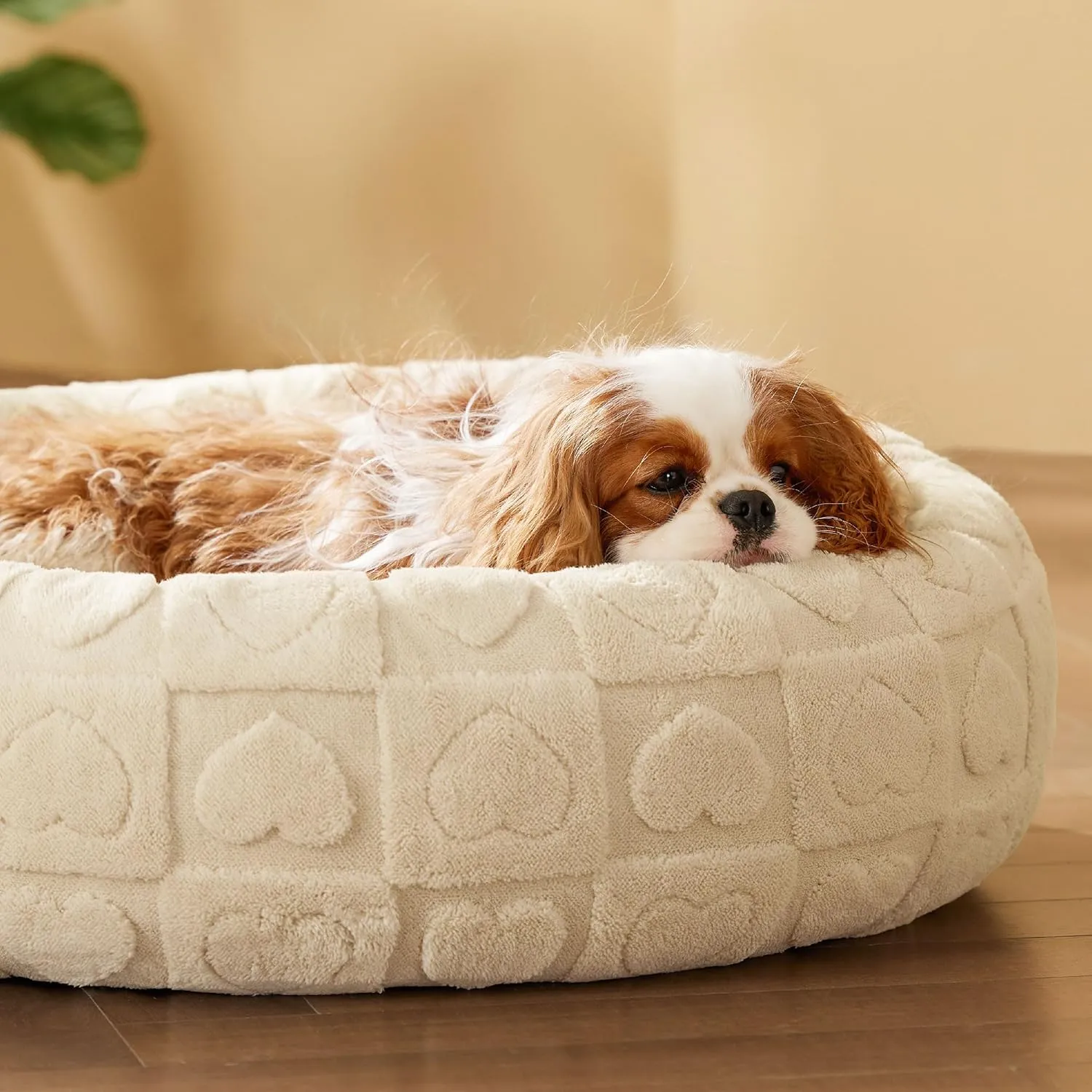 Bedsure Dog Bed for Medium Dogs - Donut Pet Bed for Puppy Kitten with Anti Slip Bottom, Round Sherpa Dog Beds with Washable Removable Cover, Cream, 30x30x8 inches