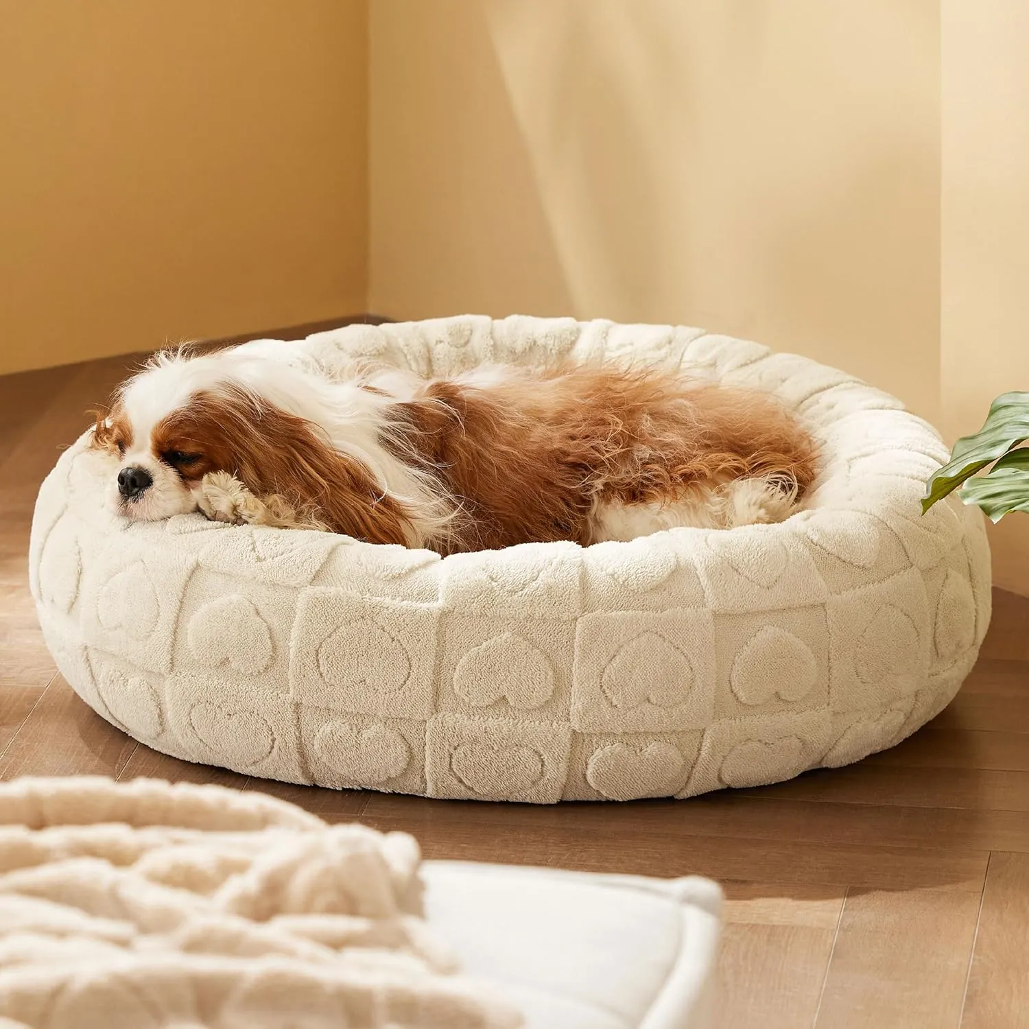 Bedsure Dog Bed for Medium Dogs - Donut Pet Bed for Puppy Kitten with Anti Slip Bottom, Round Sherpa Dog Beds with Washable Removable Cover, Cream, 30x30x8 inches