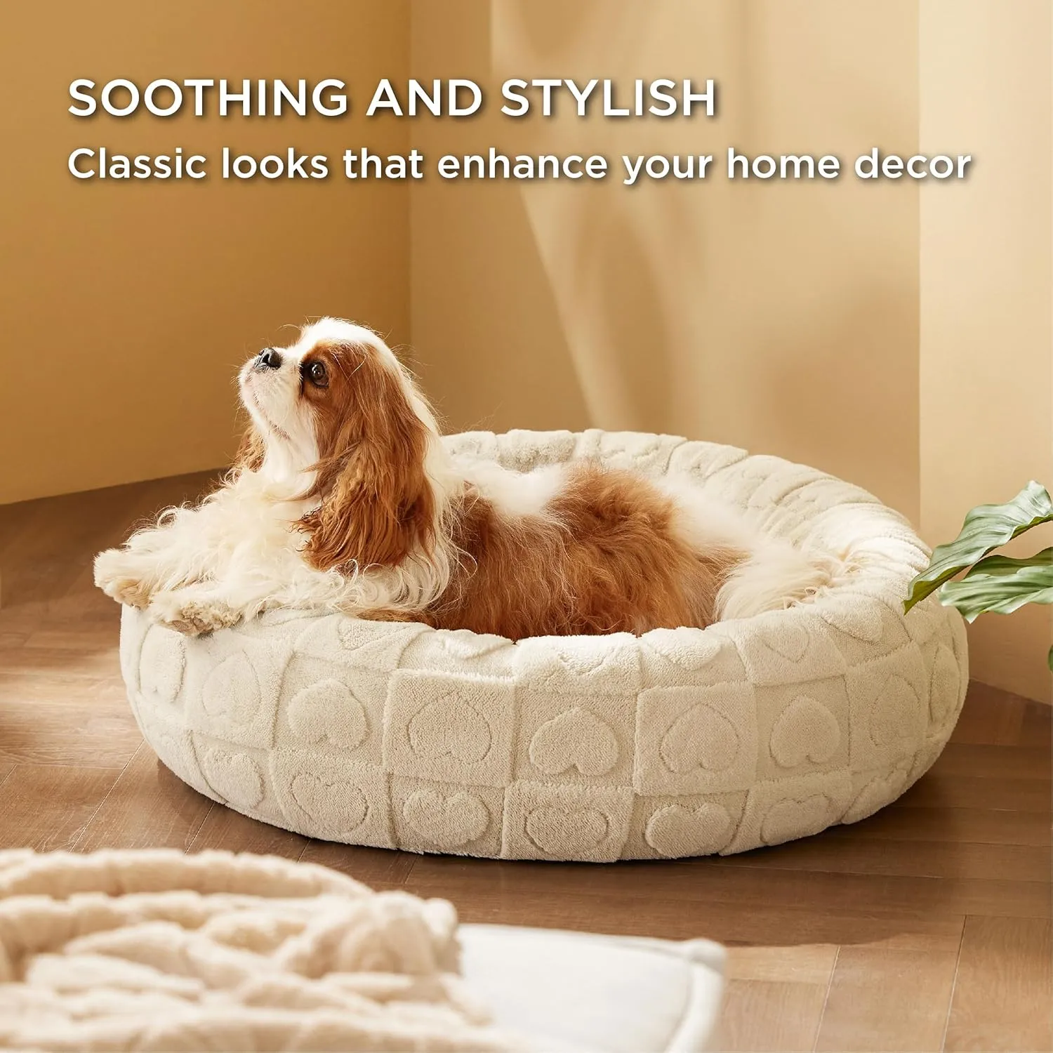 Bedsure Dog Bed for Medium Dogs - Donut Pet Bed for Puppy Kitten with Anti Slip Bottom, Round Sherpa Dog Beds with Washable Removable Cover, Cream, 30x30x8 inches
