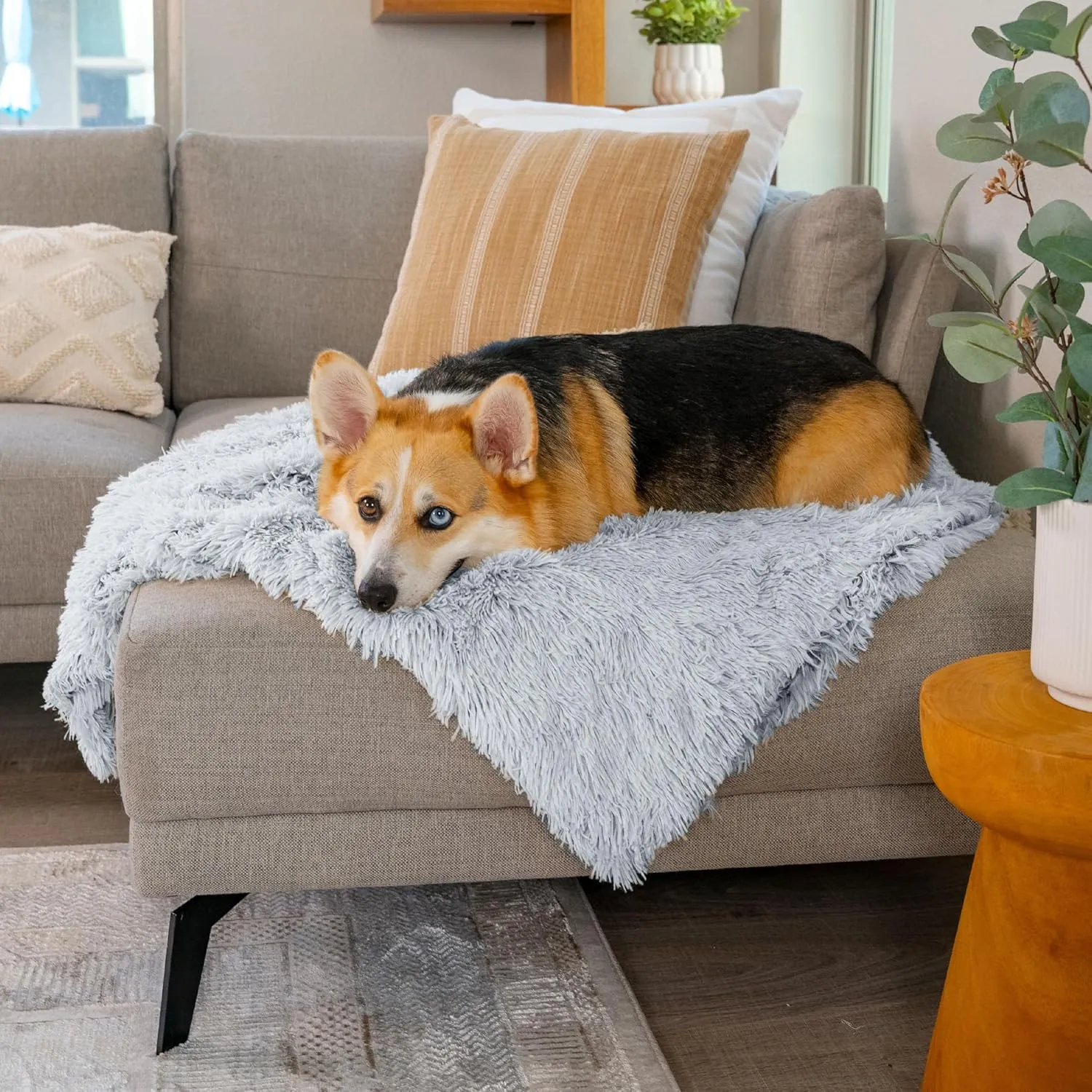 Best Friends by Sheri Calming Shag Dog Blanket  Ultra Soft Faux Fur Pet Throw, Anxiety-Relief, Lightweight Warm Bed Cover for Dogs and Cats, Machine Washable, Frost Gray, 30" x 40"