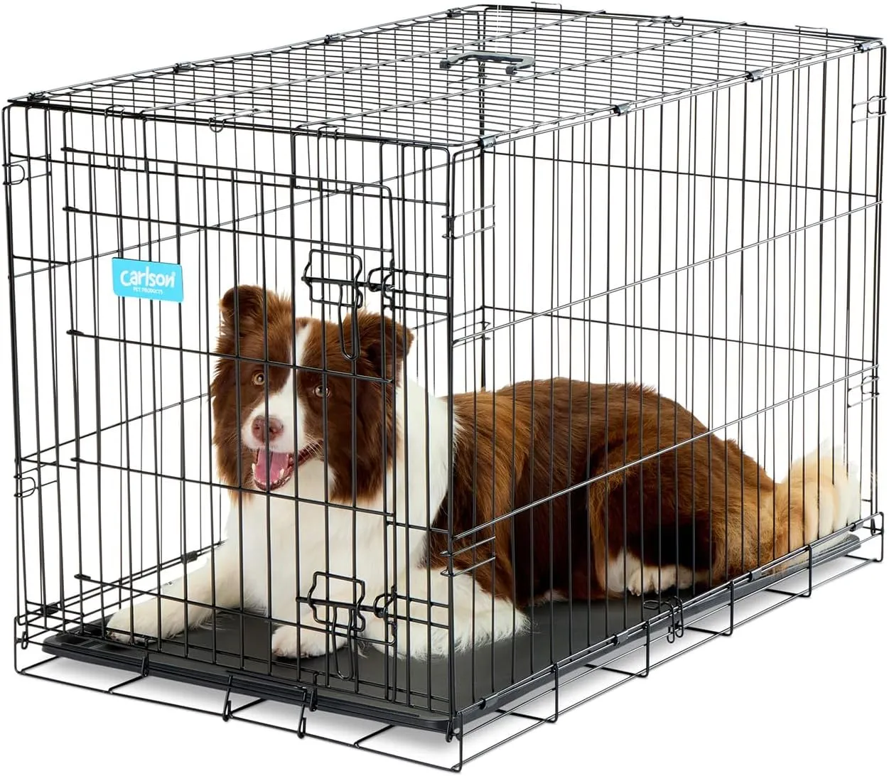 Carlson Pet Products Secure and Foldable Single Door Metal Dog Crate, Intermediate