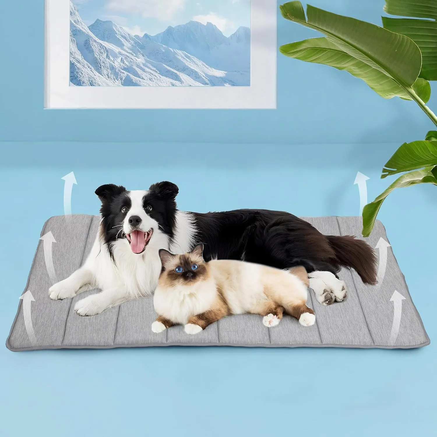 Chicute Dog Cooling Mat for Large Dogs - 47x29 Orthopedic Memory Foam Pet Pad for Summer, QMAX>0.5, Washable Premium Comfort Crate Pad for Your Furry Companion, Grey