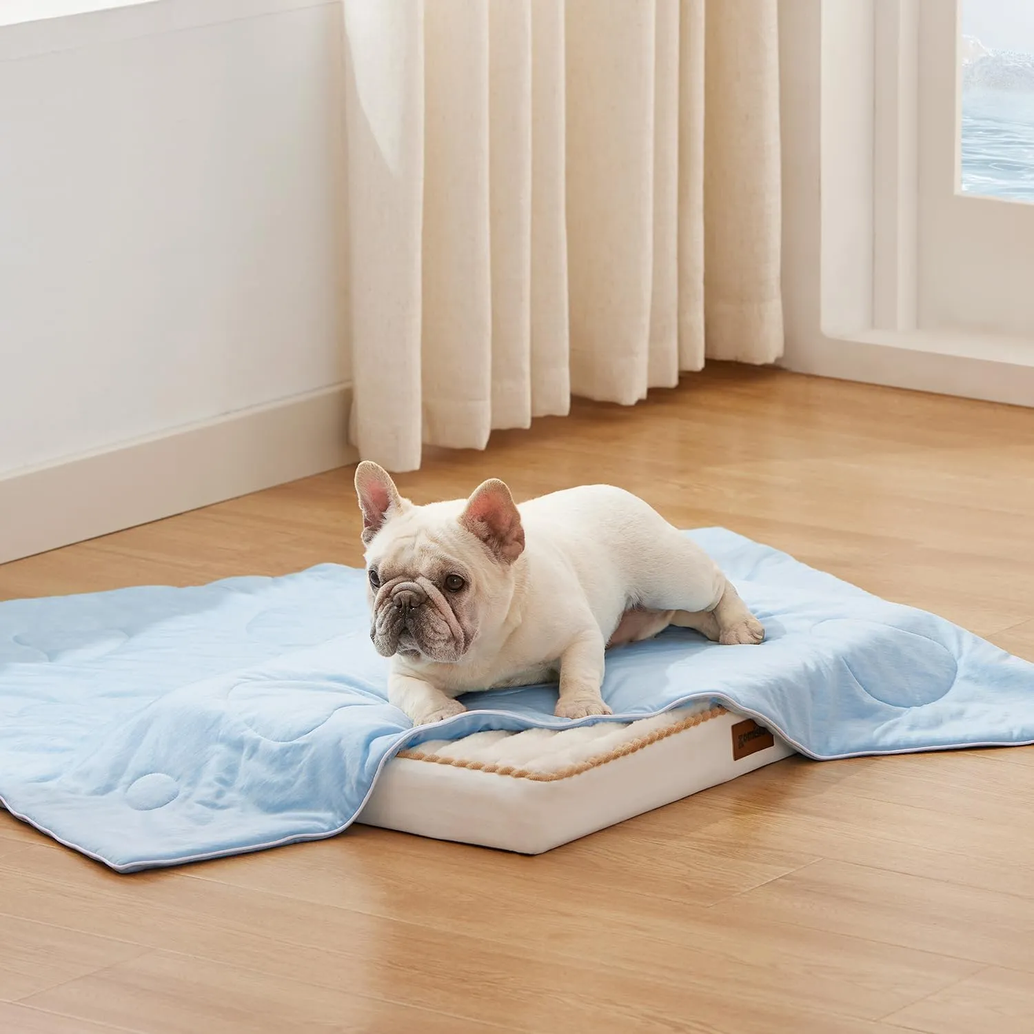 Cooling Blanket for Large Dogs - High Q-MAX 0.4  Cold Washable Pet Mat, Travel Soft Dog Summer Essentials, Grey, 40"x50"
