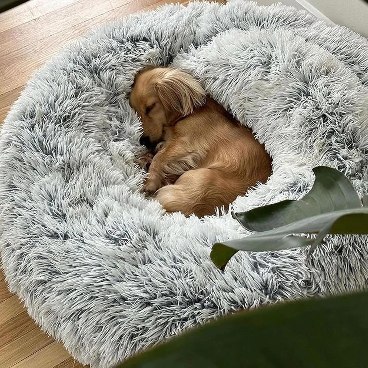 Dhohoo Calming Dog Cat Bed Anti-Anxiety Donut Cuddler Warming Cozy Soft Round Bed Washable Fluffy Faux Fur Plush Cushion Bed for Dogs and Cats Removable Pad (Grey, 20 * 20 in)