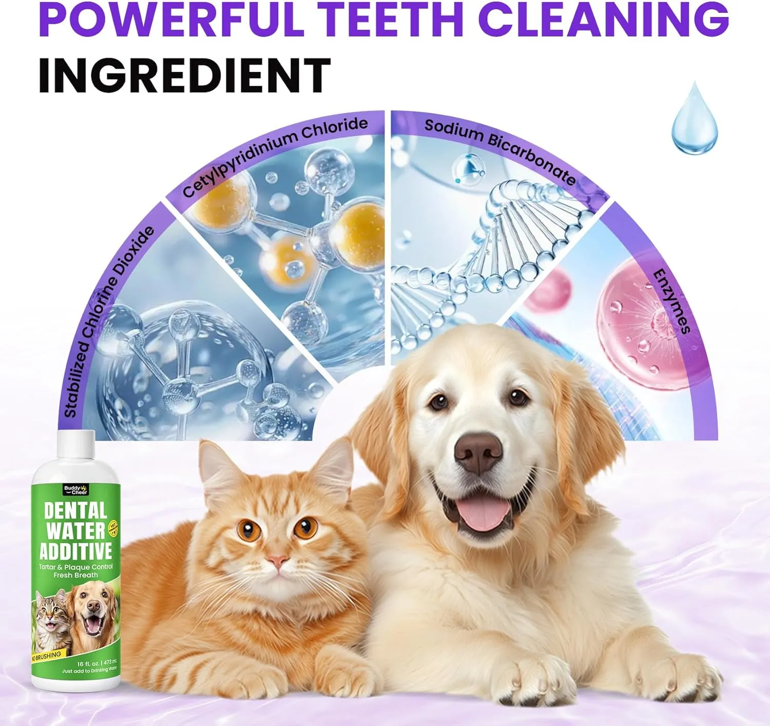 Dog Breath Freshener  Enzymatic Dog Dental Water Additive for Teeth Claning  Freshens Breath & Reduces Tartar  Easy Dog Mouthwash Cleaner for Teeth & Gums  No Brushing Needed, Uncented, 16oz