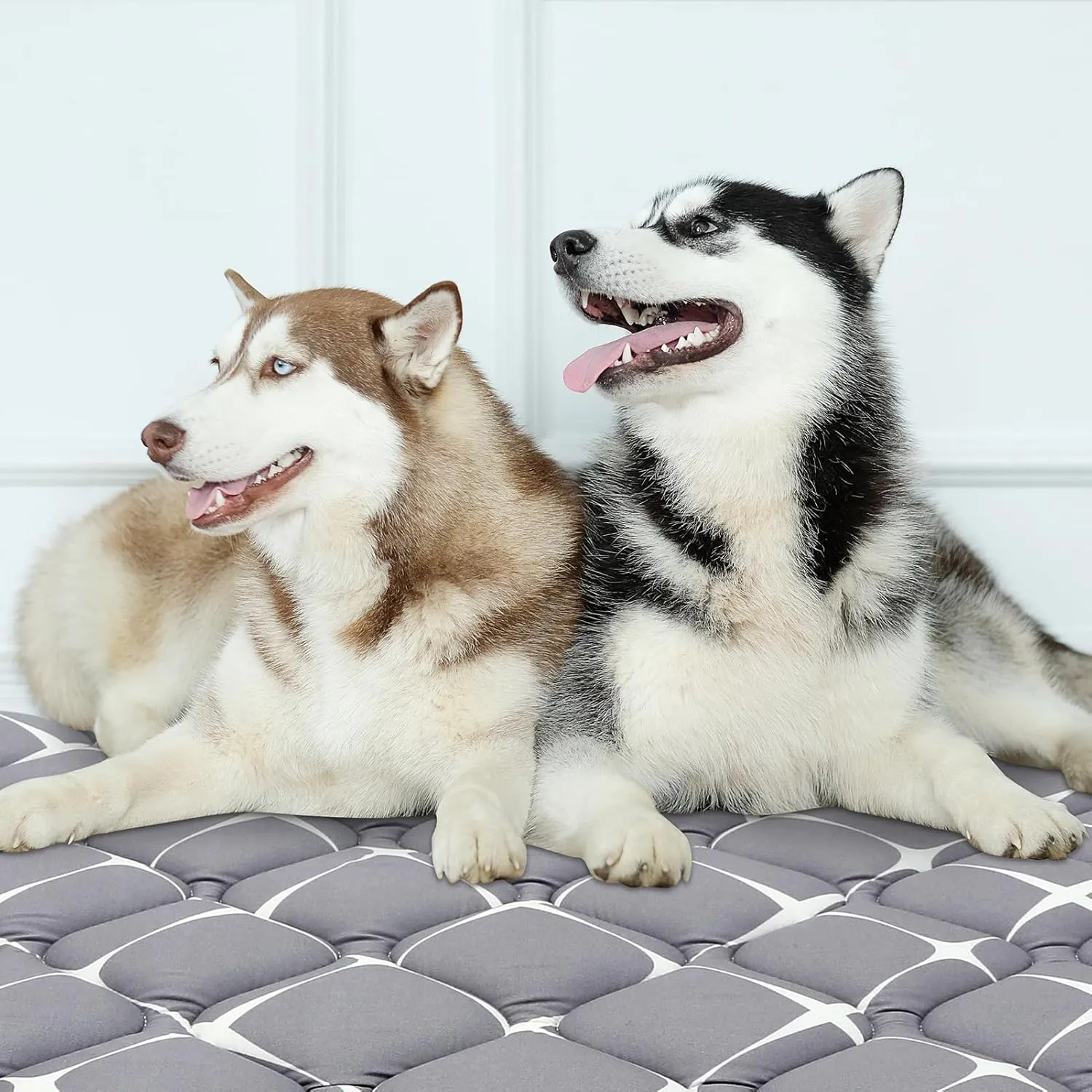 Dog Crate Mat, Ultra Soft Dog Bed Mat for Sleeping with Anti-Slip Bottom, Washable Kennel Pad for Large Medium Small Dogs Breeds with Cute Prints and Dark Colored to Hide Stains (36" X 23")