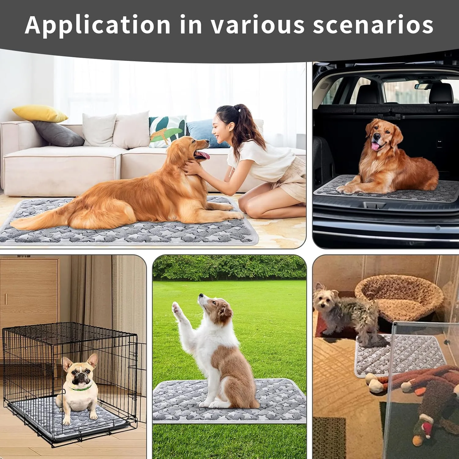 Dog Crate Mats, Soft Reversible Dog Bed Mat, Cat Mat - 36x24 Inch, Short Plush Pet Mat Crate Mat for Medium Dogs, 0.6-inch/1.5cm Thick Thin Dog Mat, Machine Washable Ideal for 36-Inch