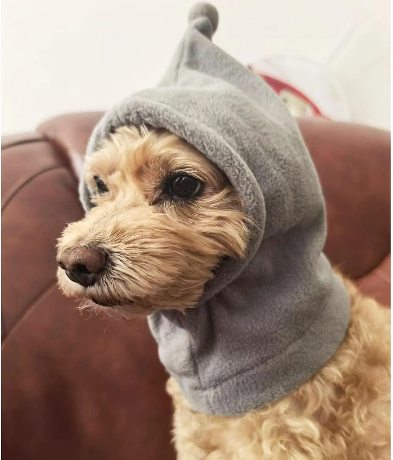 Dog Winter Hat, Leopard Dog Flannel Hat Pet Christmas Winter Warm Caps Cute Accessories Neck Ear Warmer Pullover Hood Warm Scarf, Calming Dog Hood for Noise Protection (Grey, Large)