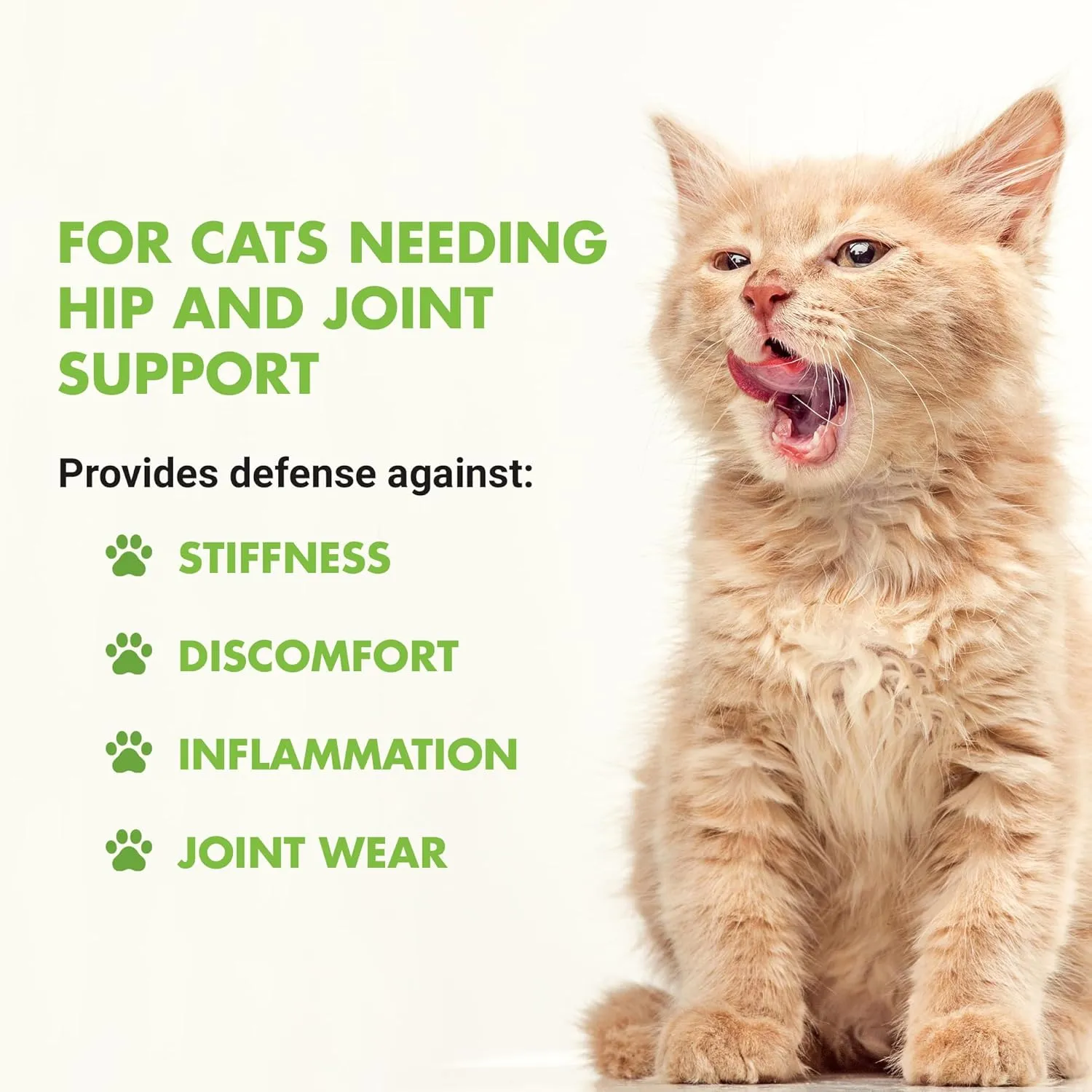 Feline Hip & Joint Advanced Formula, Seafood Flavor, 8 oz
