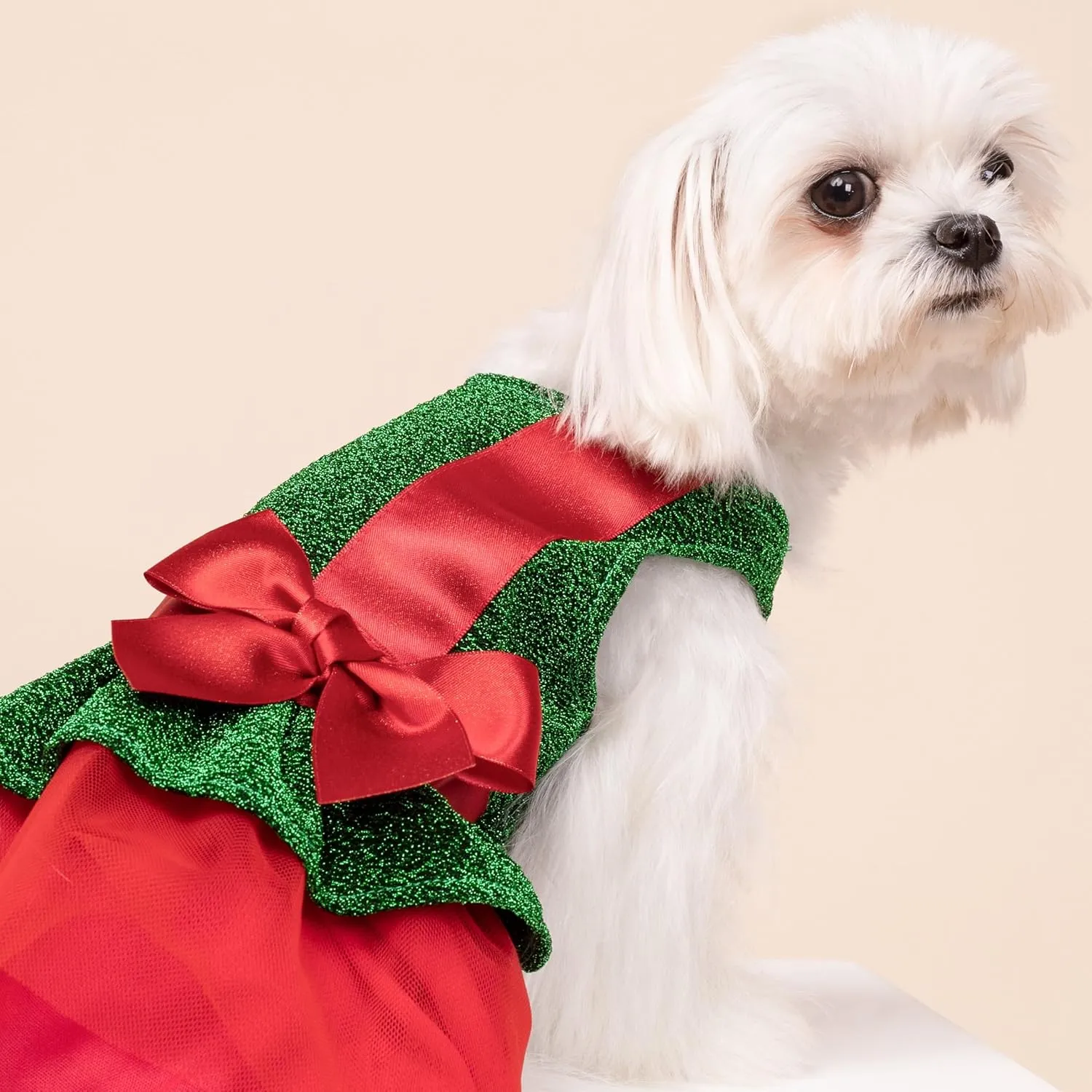 Fitwarm Christmas Dog Costume Dress, Funny Dog Holiday Outfit, Doggy Clothes for Small Dogs Girl, Pet Apparel, Green, Red, Large