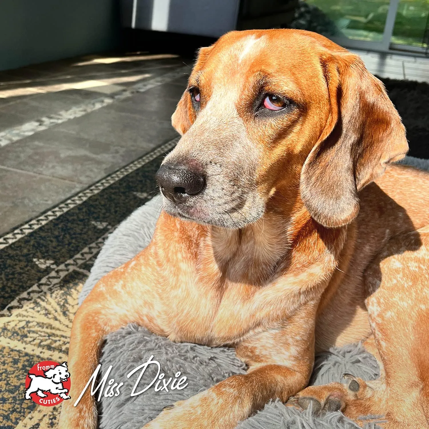 Fromm Four-Star Nutritionals Salmon with Sweet Potato Dog Treats - Premium Oven Baked Dog Snacks - Salmon Recipe - 8 oz