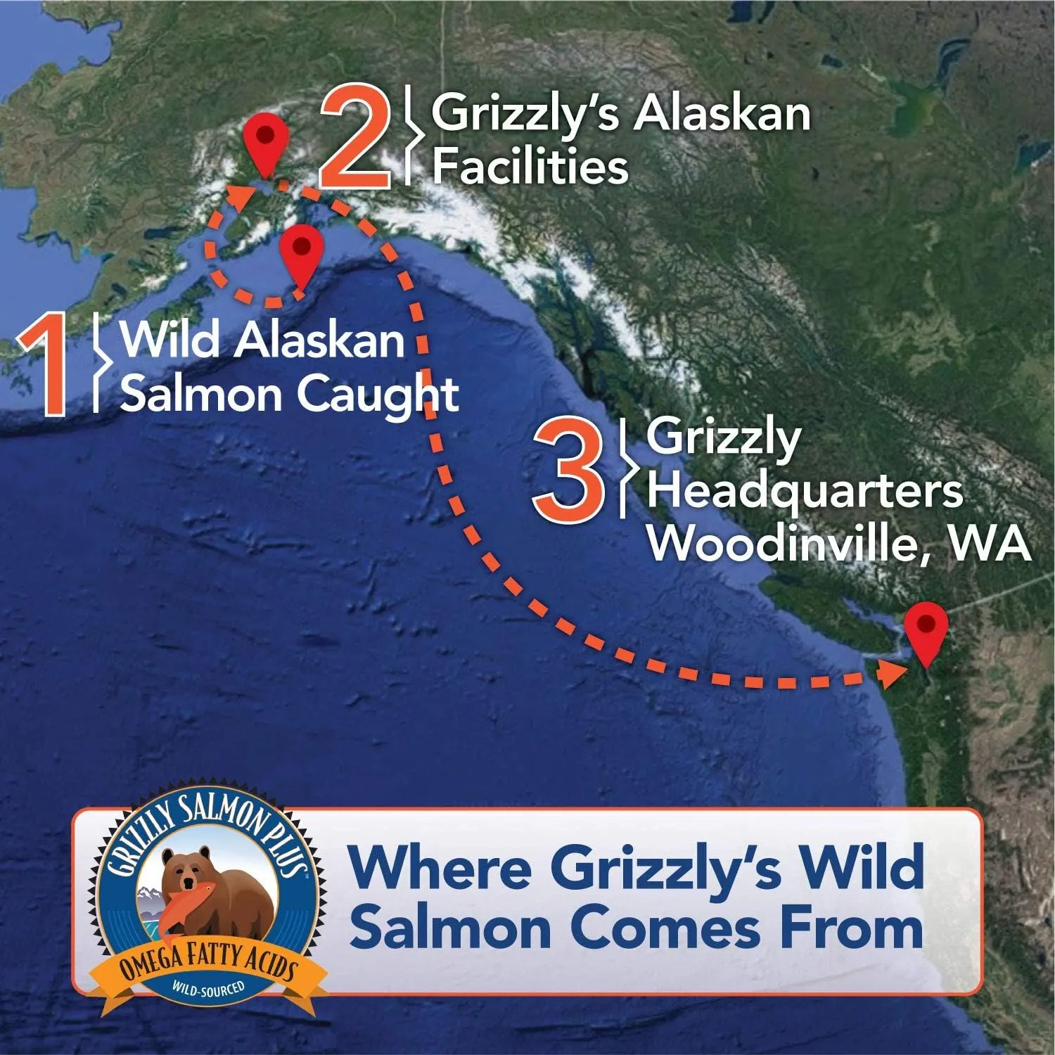 Grizzly Pet Products Salmon Plus Omega 3-6-9 Food Supplement for Dogs and Cats, 8 Ounce