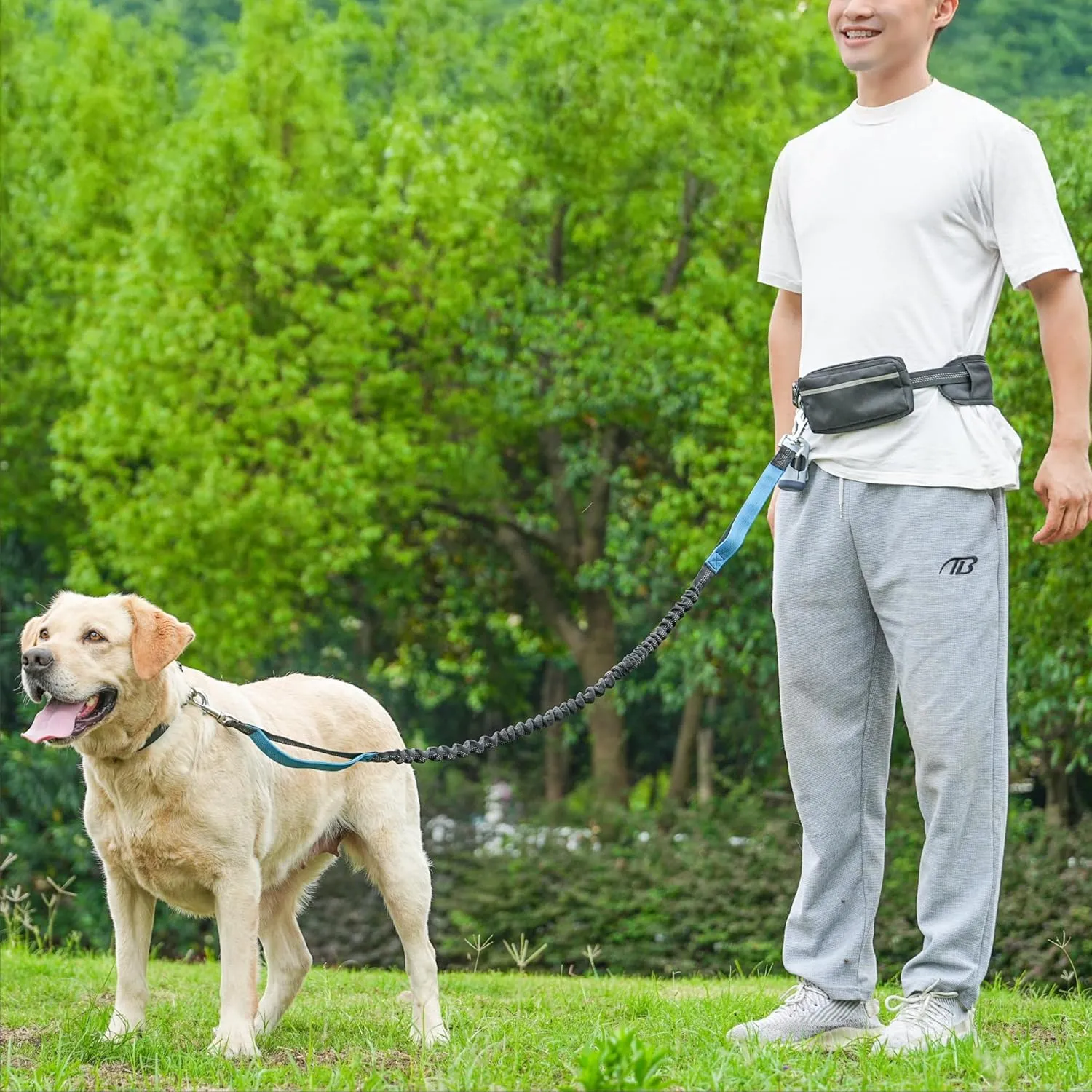 Hands-Free Dog Leash for Dogs up to 130 lbs  Shock-Absorbing Bungee, Padded Handles, Adjustable Waist Belt,Support Pad & Zipper Pouch  with Bag Dispenser  Running, Jogging, Walking, Sky Blue