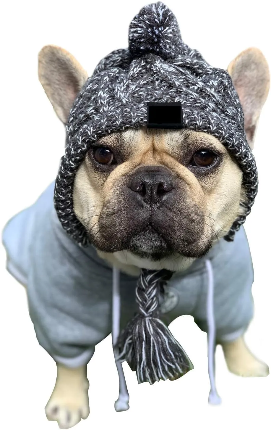 HDKUW Dog Winter Hat with Ear Holes, Pet Hat Knitted Windproof Cap for French Bulldog Small Medium Dog (M)