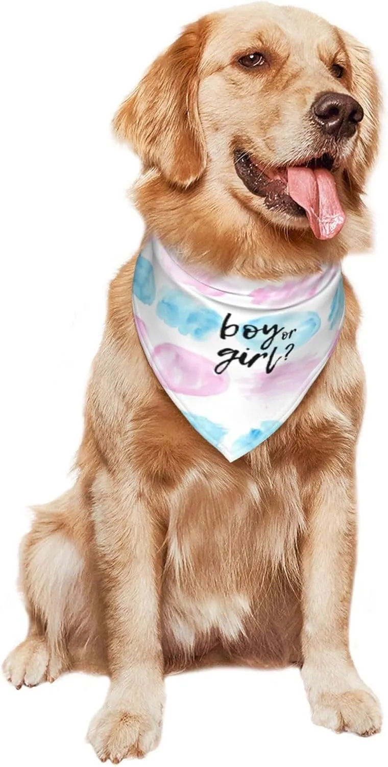 He Or She What Will It Be? Gender Reveal/Baby Announcement Dog Bandana,Pet Neckerchief for Pets Daily Wear Photo Prop Party Supplies (Color Block-1)
