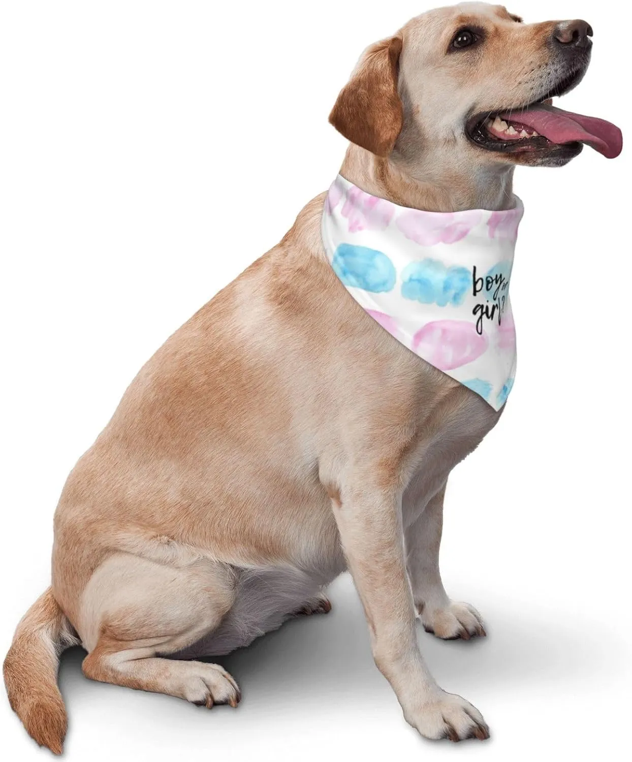 He Or She What Will It Be? Gender Reveal/Baby Announcement Dog Bandana,Pet Neckerchief for Pets Daily Wear Photo Prop Party Supplies (Color Block-1)