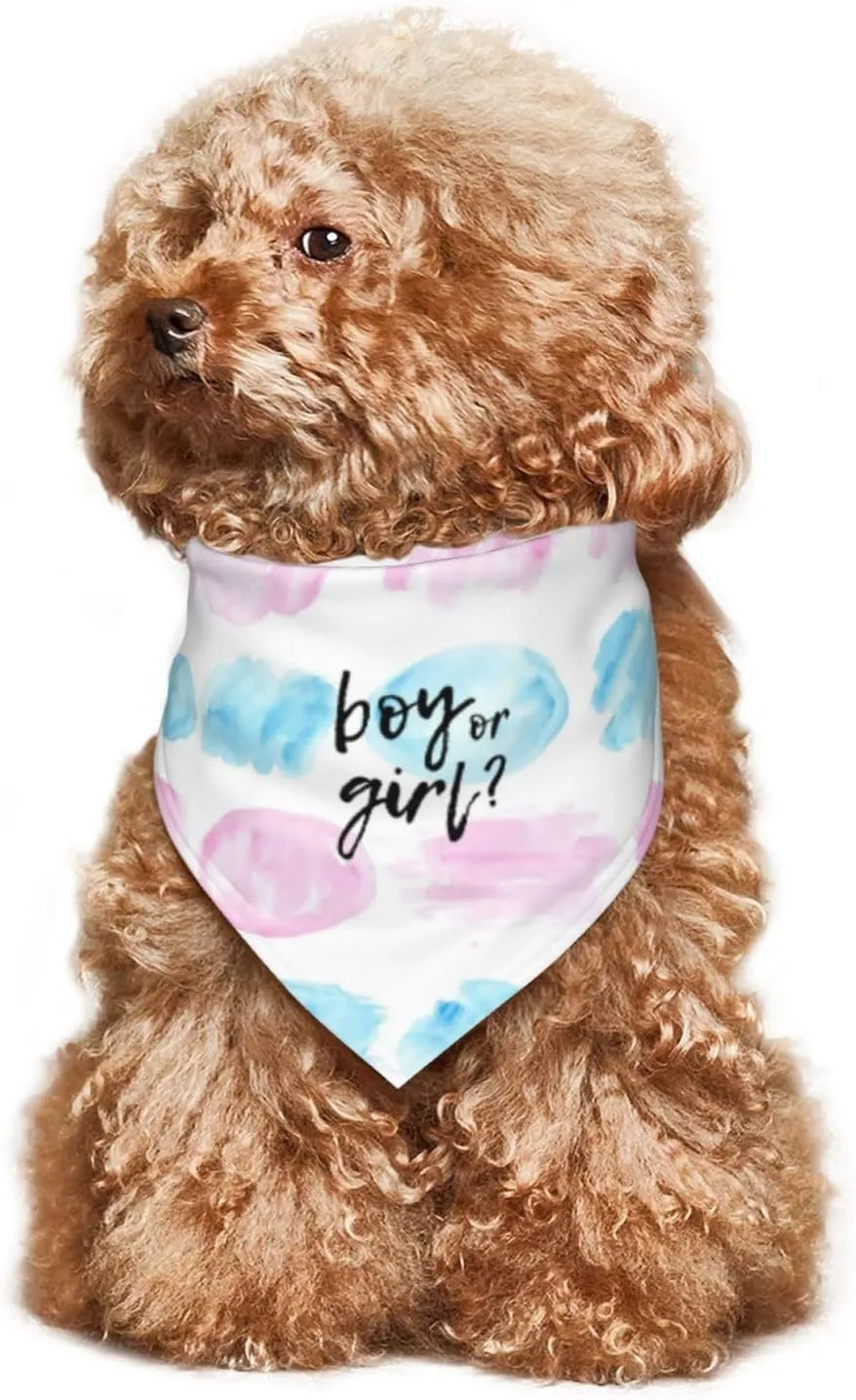 He Or She What Will It Be? Gender Reveal/Baby Announcement Dog Bandana,Pet Neckerchief for Pets Daily Wear Photo Prop Party Supplies (Color Block-1)