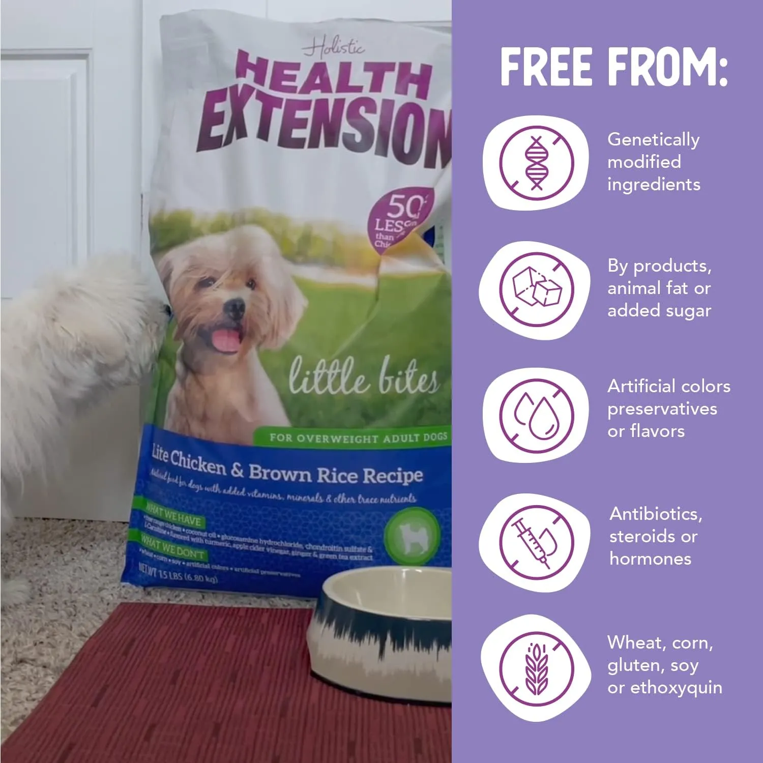 Health Extension Little Bites Lite Chicken & Brown Rice Dry Dog Food (4 lb / 1.8 Kg) - Natural with Probiotics and Superfoods for Overweight Adult Dogs (Pack of 2)