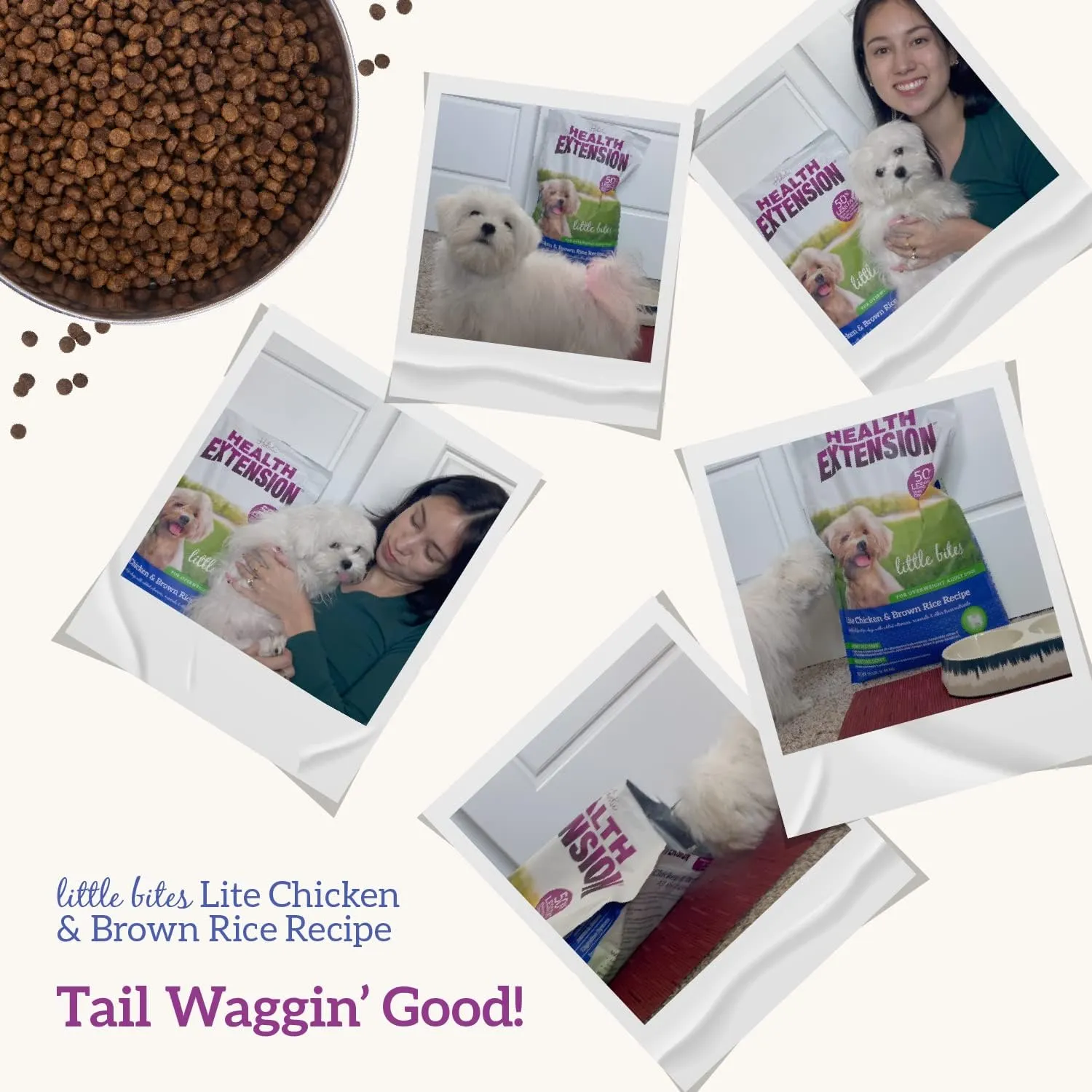 Health Extension Little Bites Lite Chicken & Brown Rice Dry Dog Food (4 lb / 1.8 Kg) - Natural with Probiotics and Superfoods for Overweight Adult Dogs.