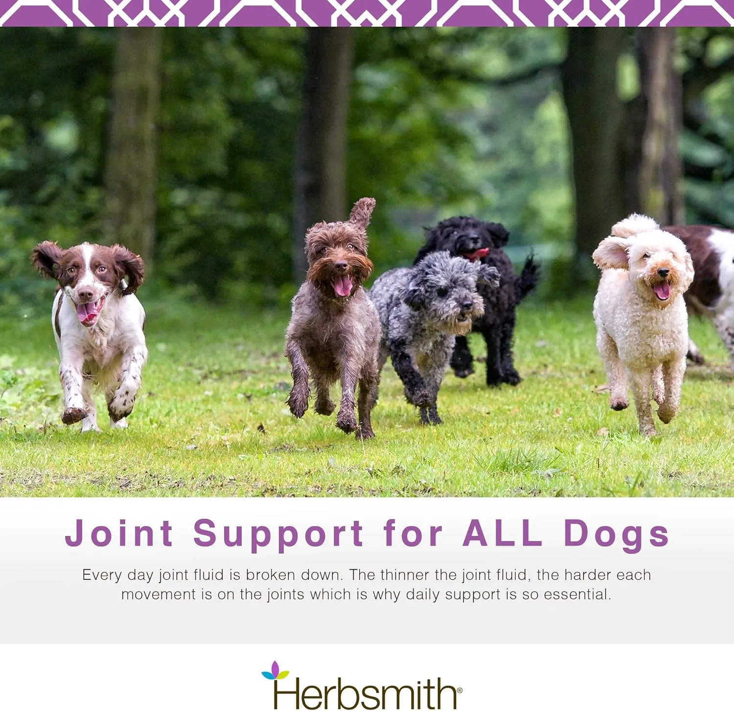 Herbsmith Sound Dog Viscosity  Advanced Joint Support for Dogs  Veterinarian Recommended Glucosamine for Dogs, Hyaluronic Acid, Chondroitin, MSM  Natural Arthritis Pain Relief  120ct Large Chews