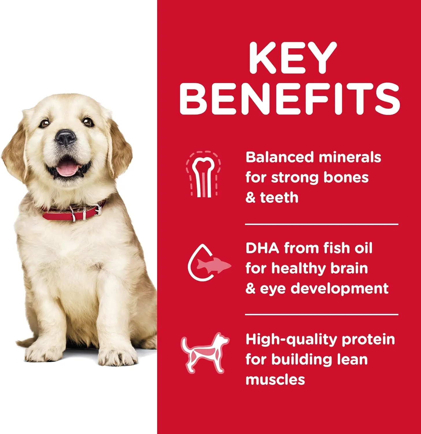 Hill's Science Diet Dry Dog Food, Puppy, Large Breeds, Chicken Meal and Oats Recipe, 30 lb. Bag