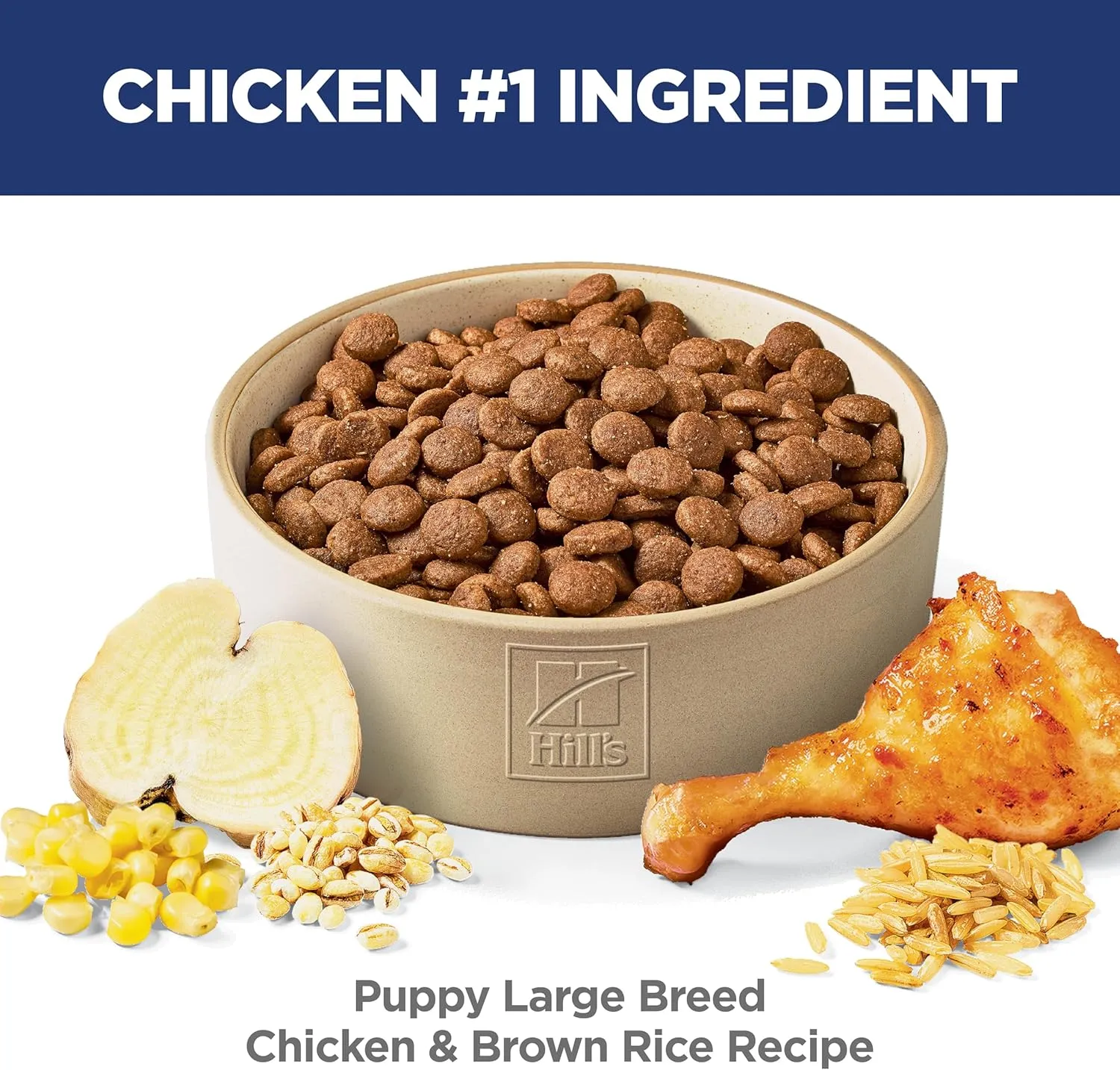 Hill's Science Diet Puppy, Large Breed Puppy Premium Nutrition, Dry Dog Food, Chicken & Brown Rice, 15.5 lb Bag