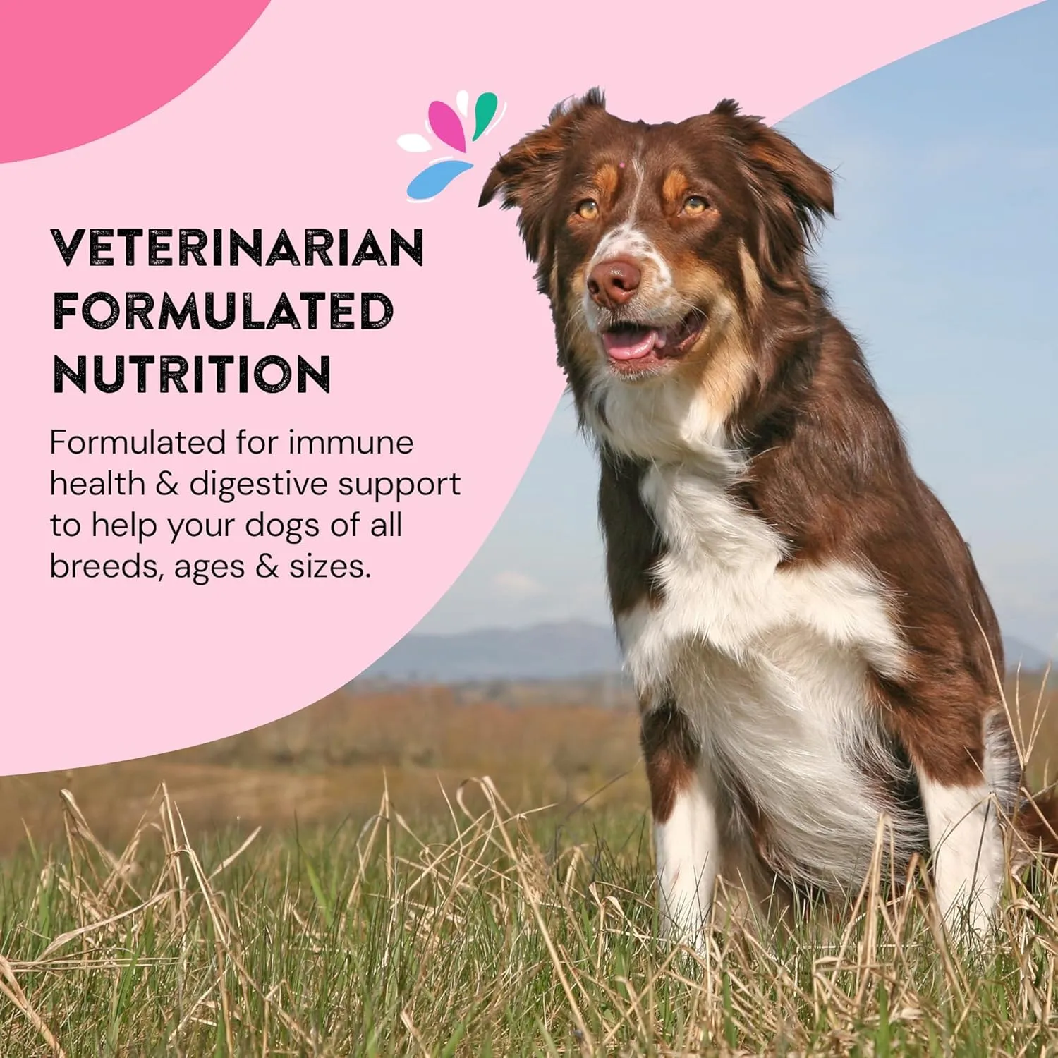 Hip & Joint Supplements for Dogs | Probiotic & Prebiotic Benefits with Wild Salmon Omega 3s to Help Your Dog Reach New Heights | All Breeds and Sizes | 120 Count