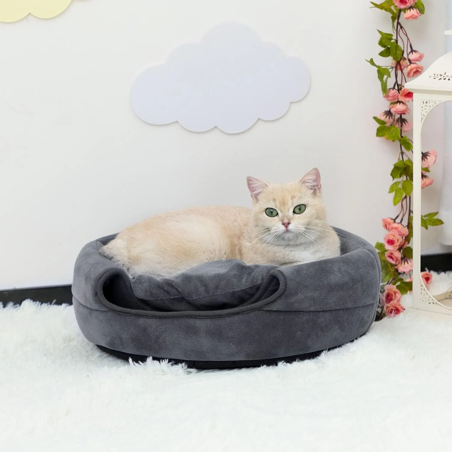 Hollypet Coral Velvet Cat Bed, 161612.5 inches 2 in 1 Foldable Cave, Self-Warming High Elastic Foam Pet Bed for Cats, Dark Gray