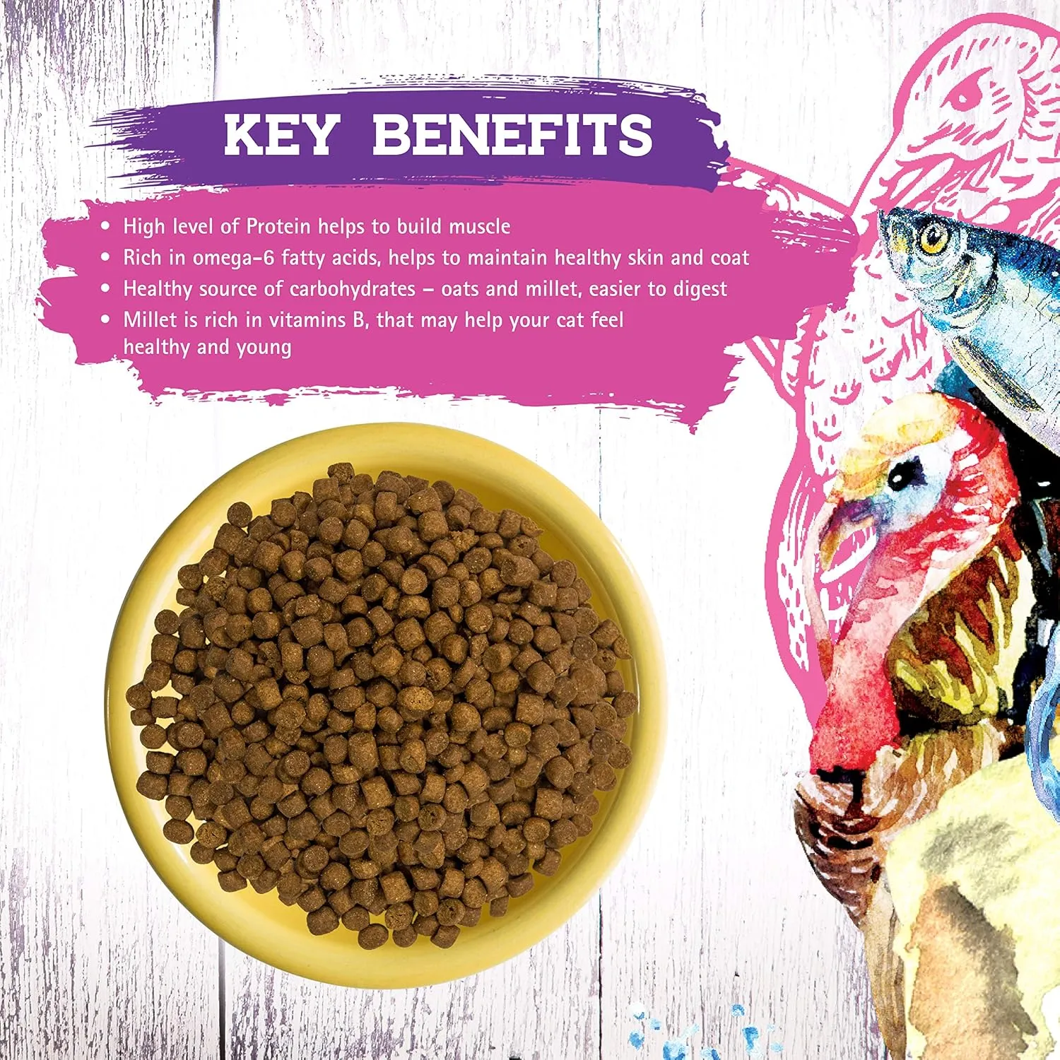Inception Dry Cat Food Turkey & Herring Recipe  Complete and Balanced Cat Food  Meat First Legume Free Dry Cat Food  4lb. Bag