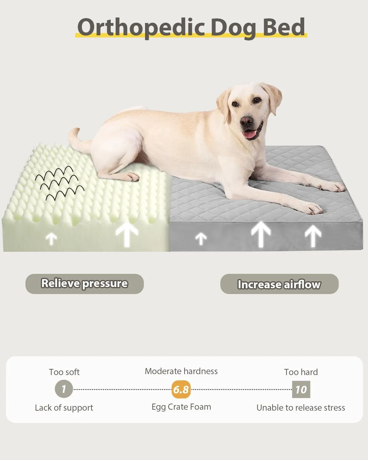 Jumbo Dog Bed - Extra Large, Orthopedic with Removable Washable Cover, Non-Slip Bottom, Suitable for Crate, 53x36 Inch, Light Gray