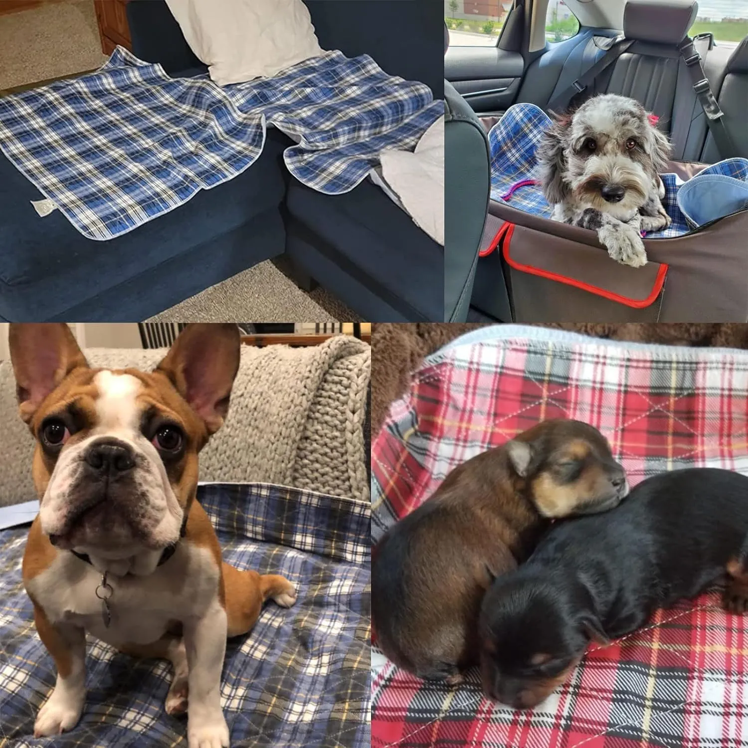 KOOLTAIL Reusable Puppy Pads, 2 Pack Washable Pee Pads for Dogs-Waterproof Non-Slip Plaid Puppy Training Pads, Absorbent Whelping Pads for Potty, Crate, Playpen, Bed, Sofa, Dog Large Mat, 36"x 48"