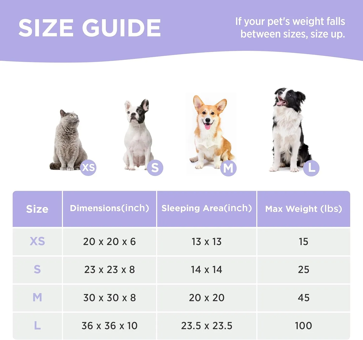 Lesure Donut Small Dog Bed - Round Cat Beds for Indoor Cats Anti-Anxiety Calming Pet Beds, Washable Cute Modern Beds with Teddy Sherpa Plush & Anti Slip Bottom, 30 Inch, Galaxy Grey