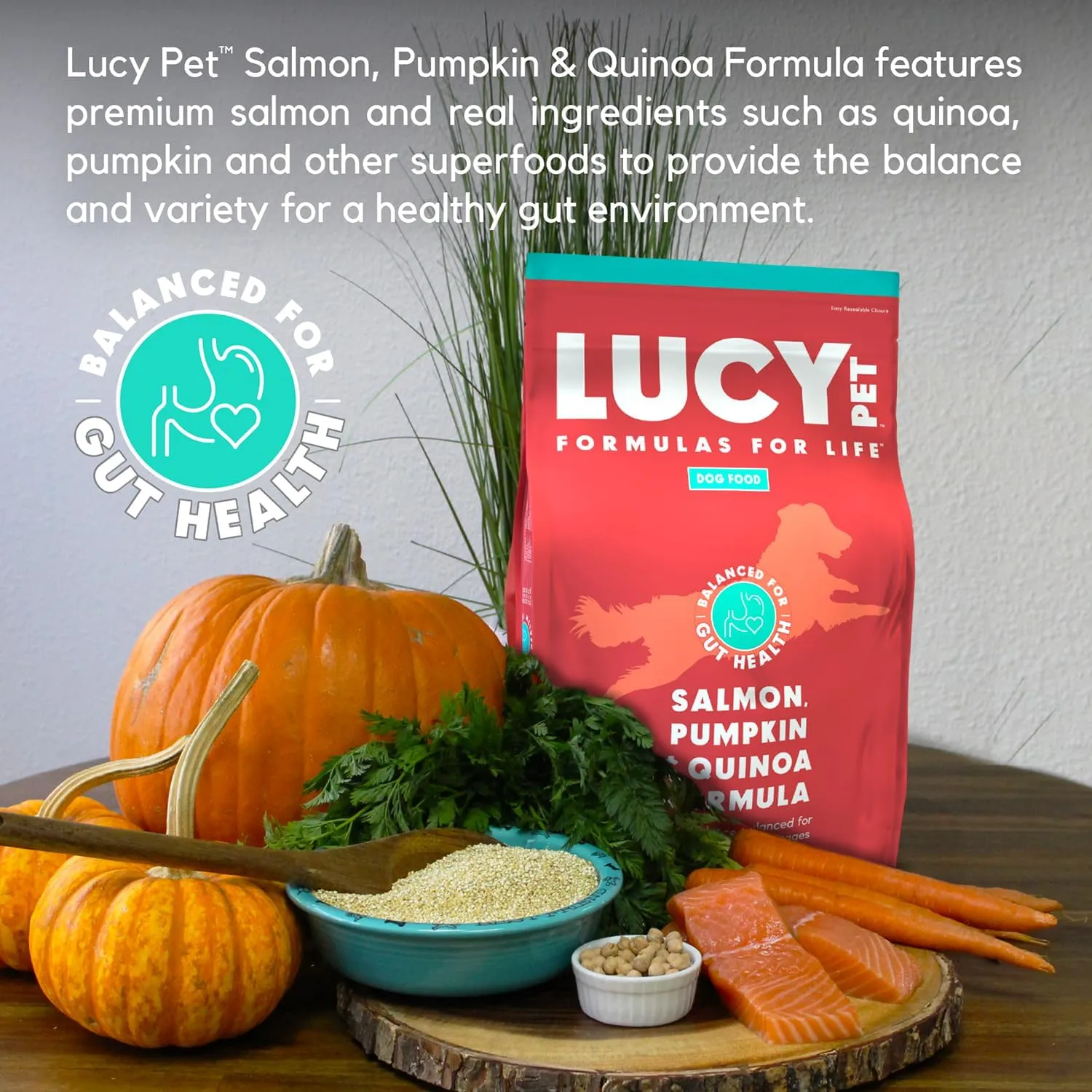 Lucy Pet Formulas for Life Salmon, Pumpkin, & Quinoa Dry Dog Food, All Life Stages, Digestive Health, Sensitive Stomach & Skin, 12lb bag
