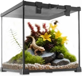 Mini Reptile Glass Terrarium Vivarium 12'' x 12'' x 12'' Full View Tank Small Amphibians Glass Habitat Cage with Feeding Slot & Box Lock Buckle