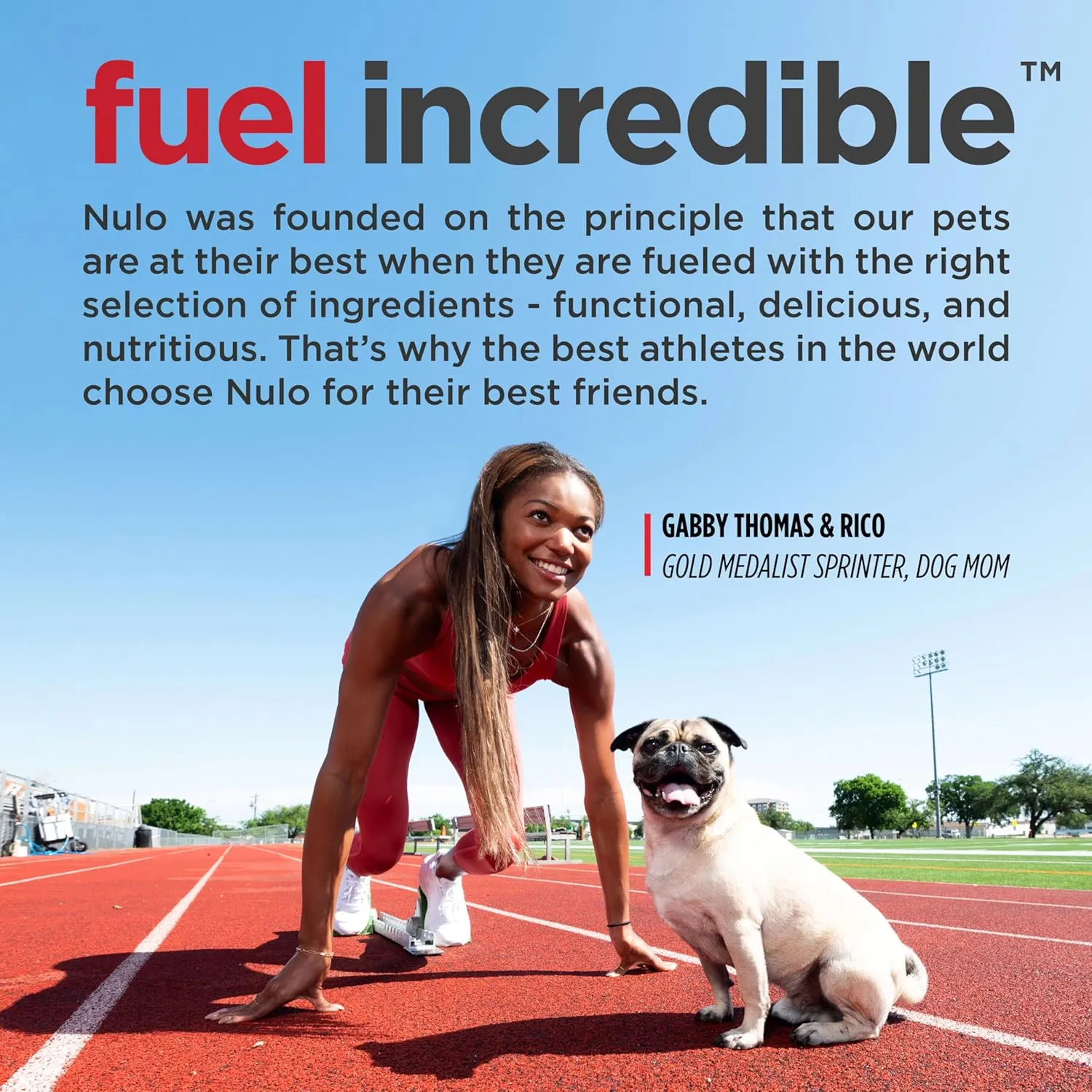 Nulo Freestyle Turkey & Sweet Potato Puppy Food, 6 Pound Bag