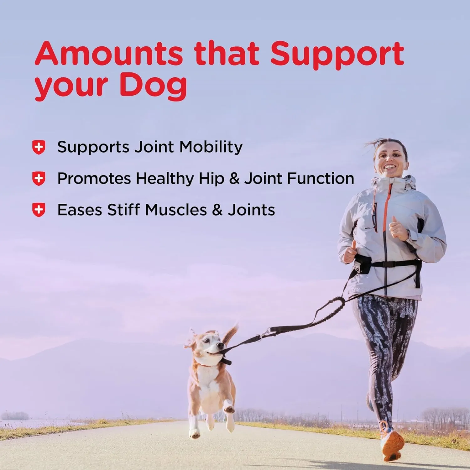 Nutri-Vet Hip & Joint Biscuits for Dogs, Dog Hip & Joint Supplement, Functional Treat, Large Sized Biscuit, 300mg of Glucosamine, 4 lb Bag