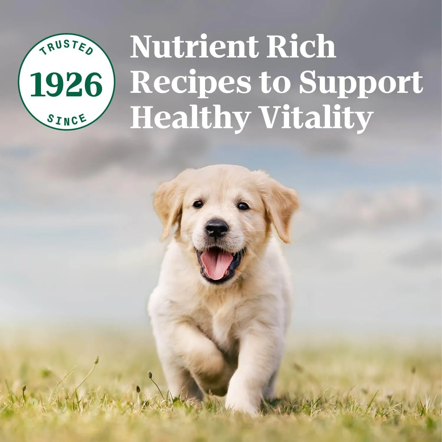 Nutro Natural Choice Puppy Dry Dog Food, Lamb & Brown Rice Recipe, 4.5 lb. Bag