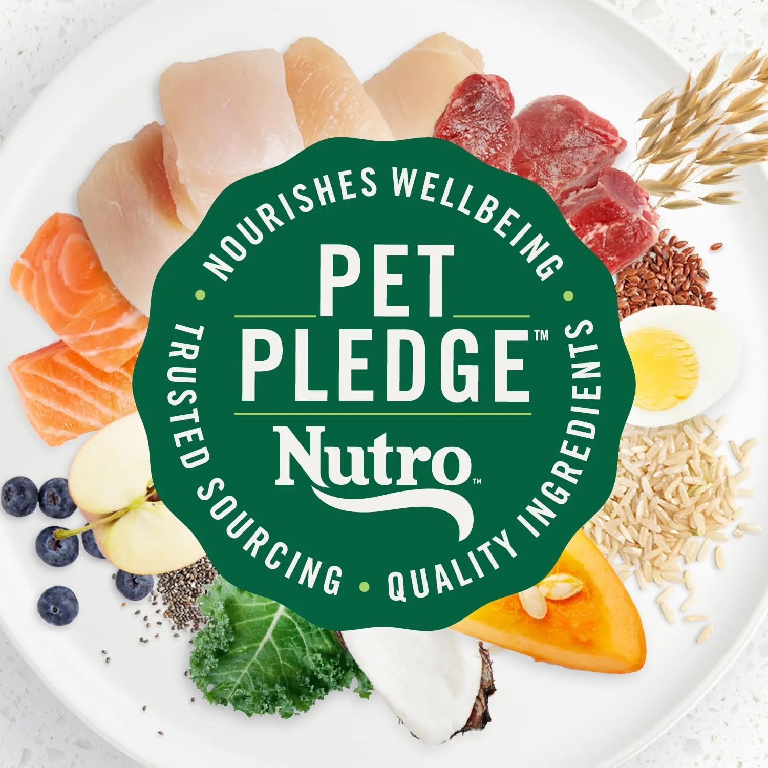 Nutro Ultra High Protein Dry Puppy Food, Trio of Proteins from Chicken, Lamb and Salmon, 3.5 lb. Bag