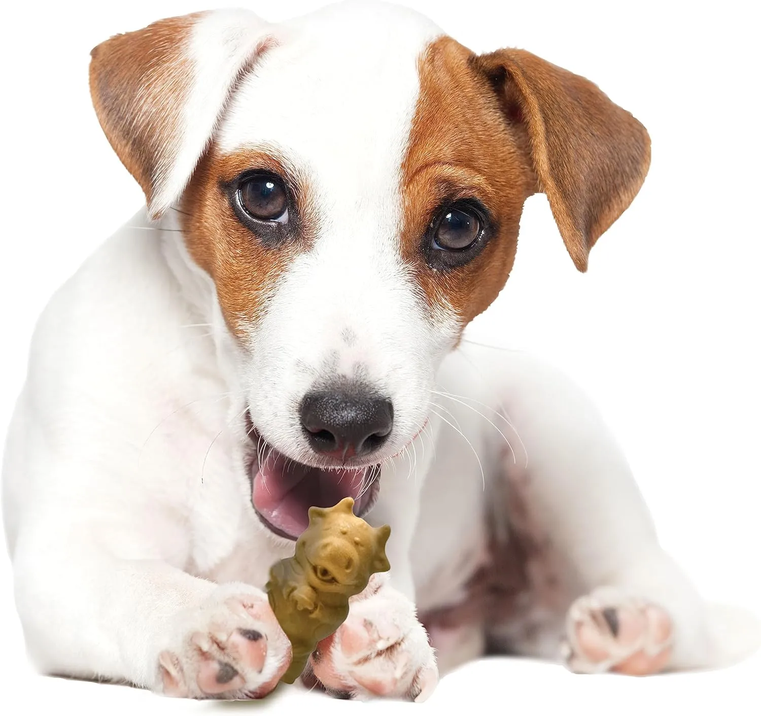 Nylabone Healthy Edibles Natural Puppy Chews Long Lasting Treats for Puppies, Lamb & Apple Flavor, Small/Regular (12 Count)