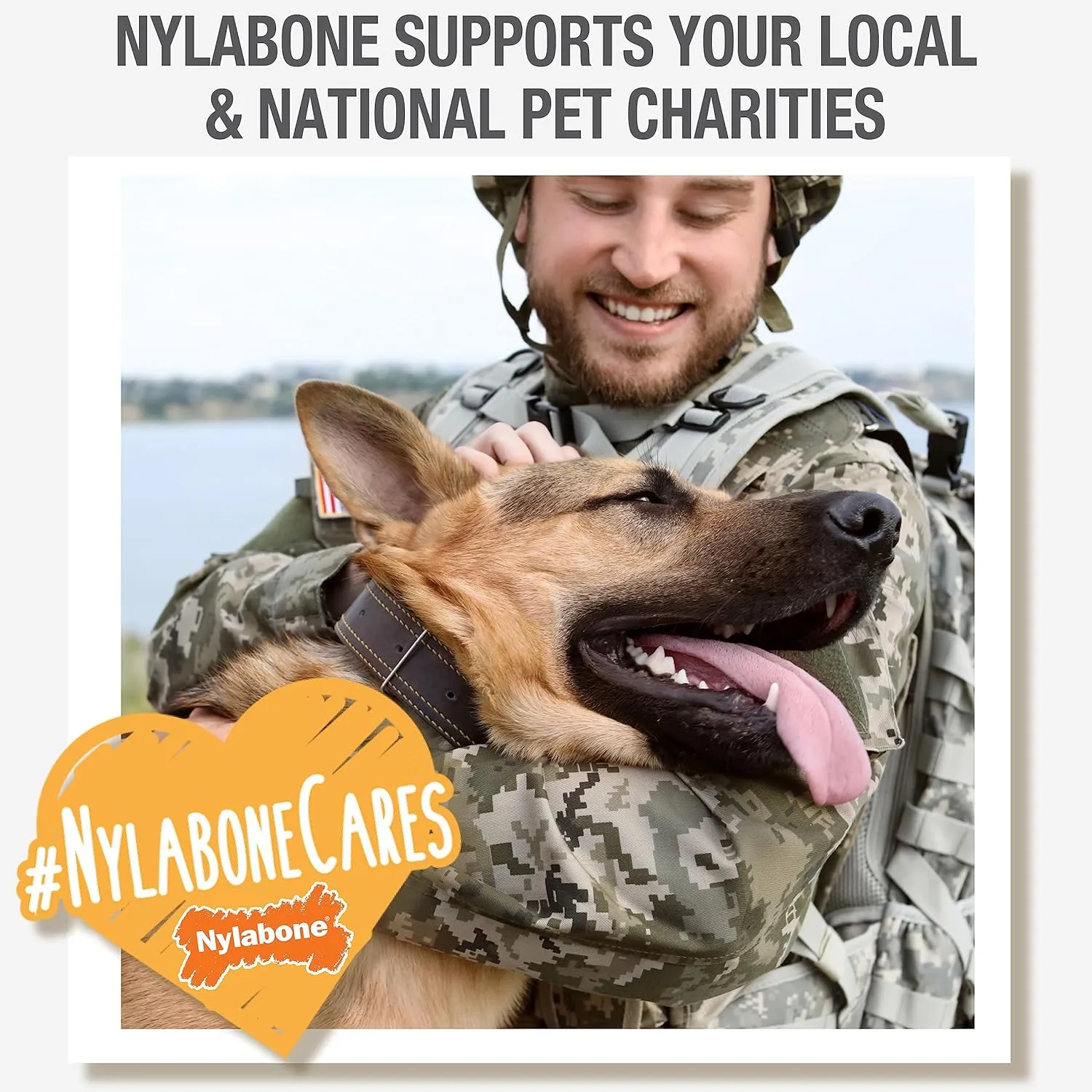 Nylabone Healthy Edibles Natural Puppy Chews Long Lasting Treats for Puppies, Lamb & Apple Flavor, Small/Regular (12 Count)