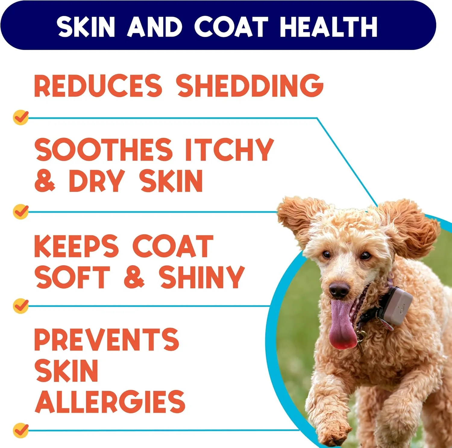Omega 3 Fish Oil for Dogs (32oz) - Skin & Coat Health - Dry & Itchy Skin Relief   Allergy Support - Shiny Coat - EPA&DHA Fatty Acids - Salmon Oil Promotes Heart, Hip & Joint Support